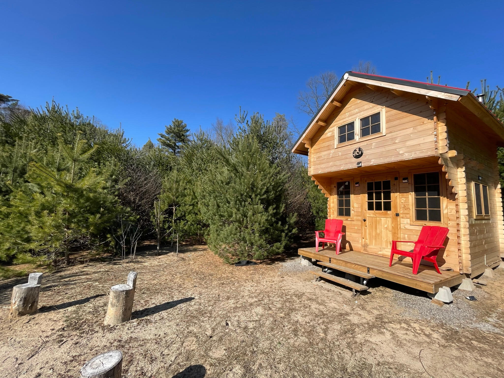 The Pinecone Bunkie!