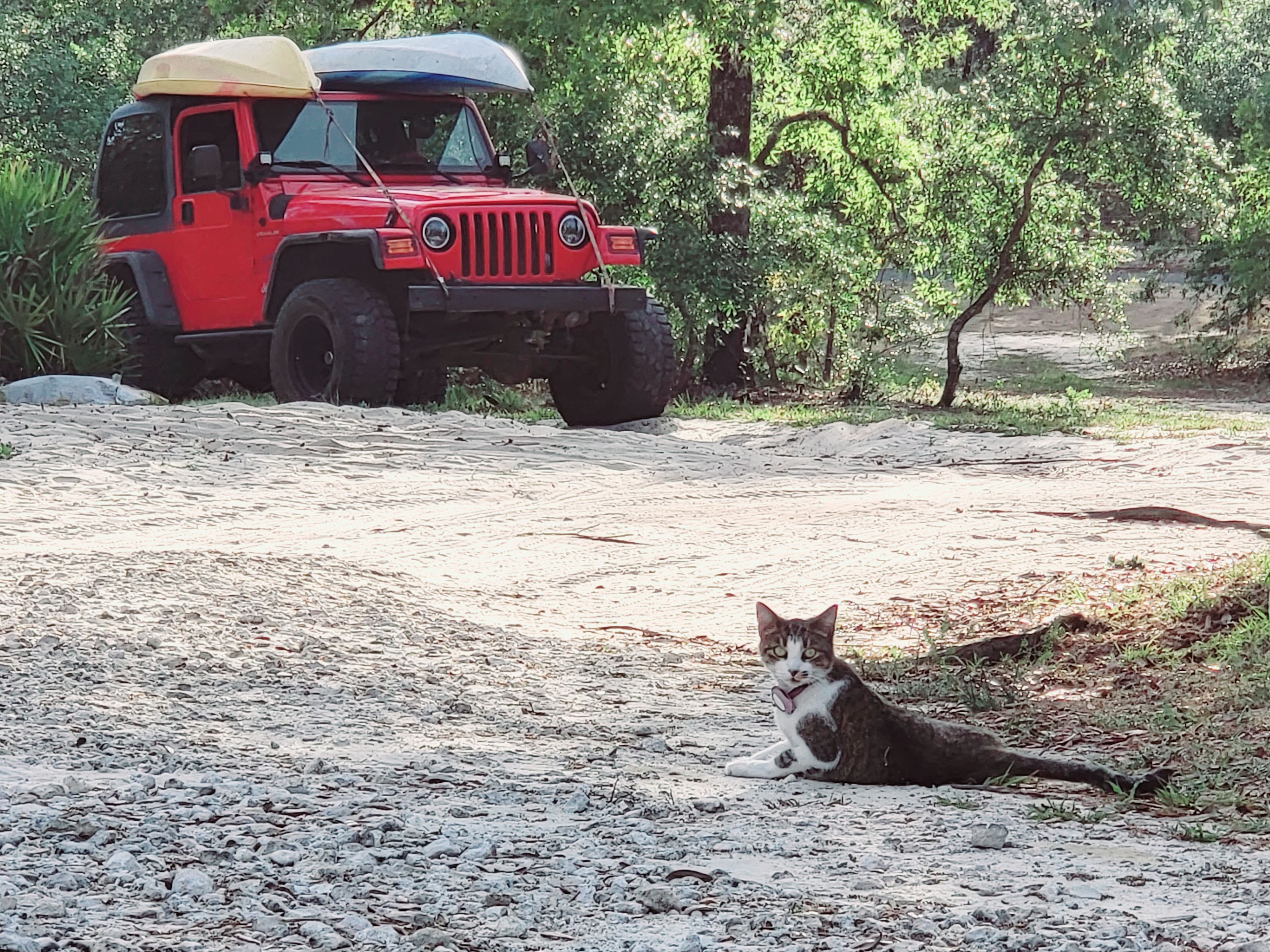 Happy Campers Rescue Ranch