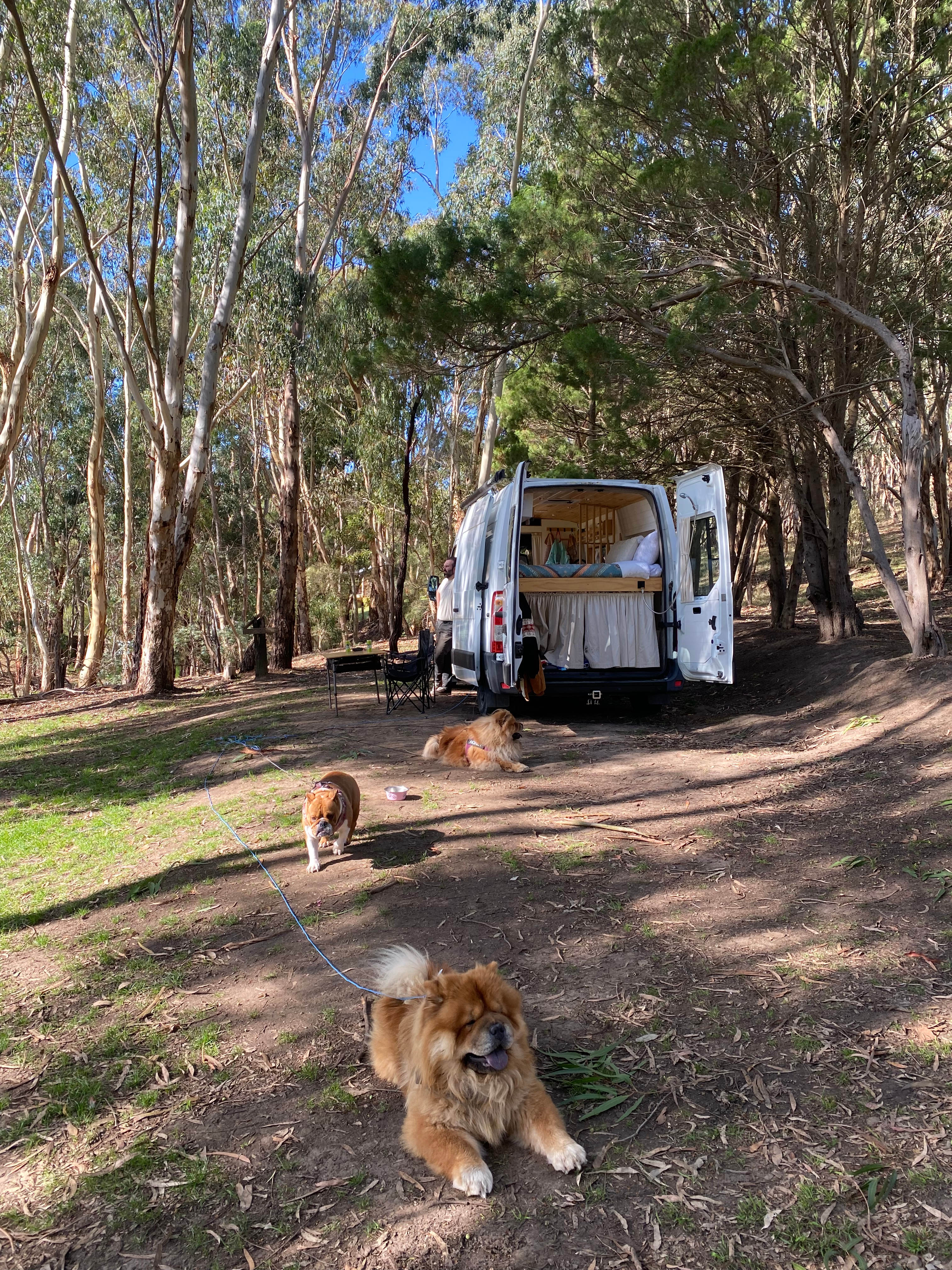 Noorla Farm (Happy Camping Ground)