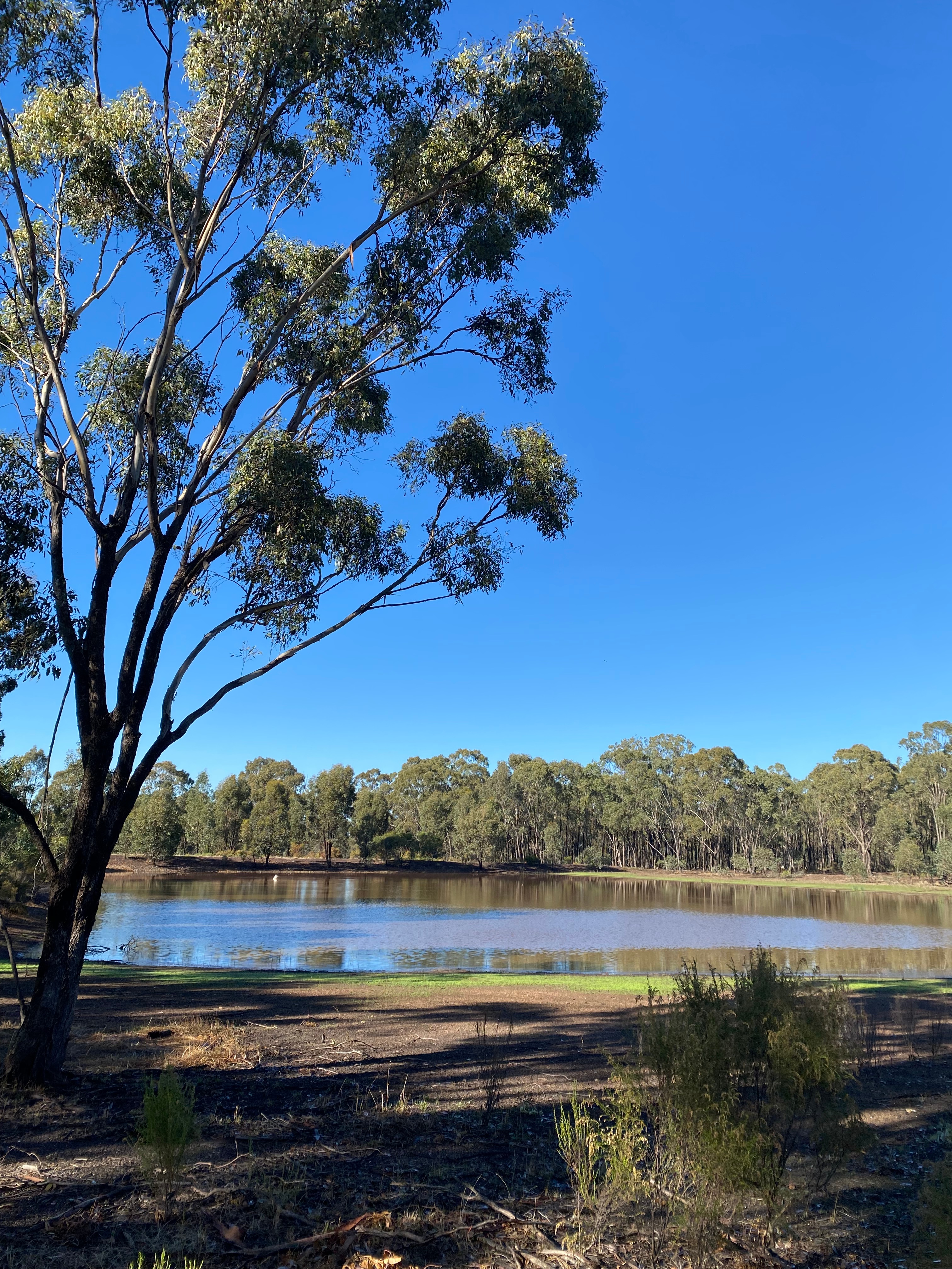 Lakeside camp site