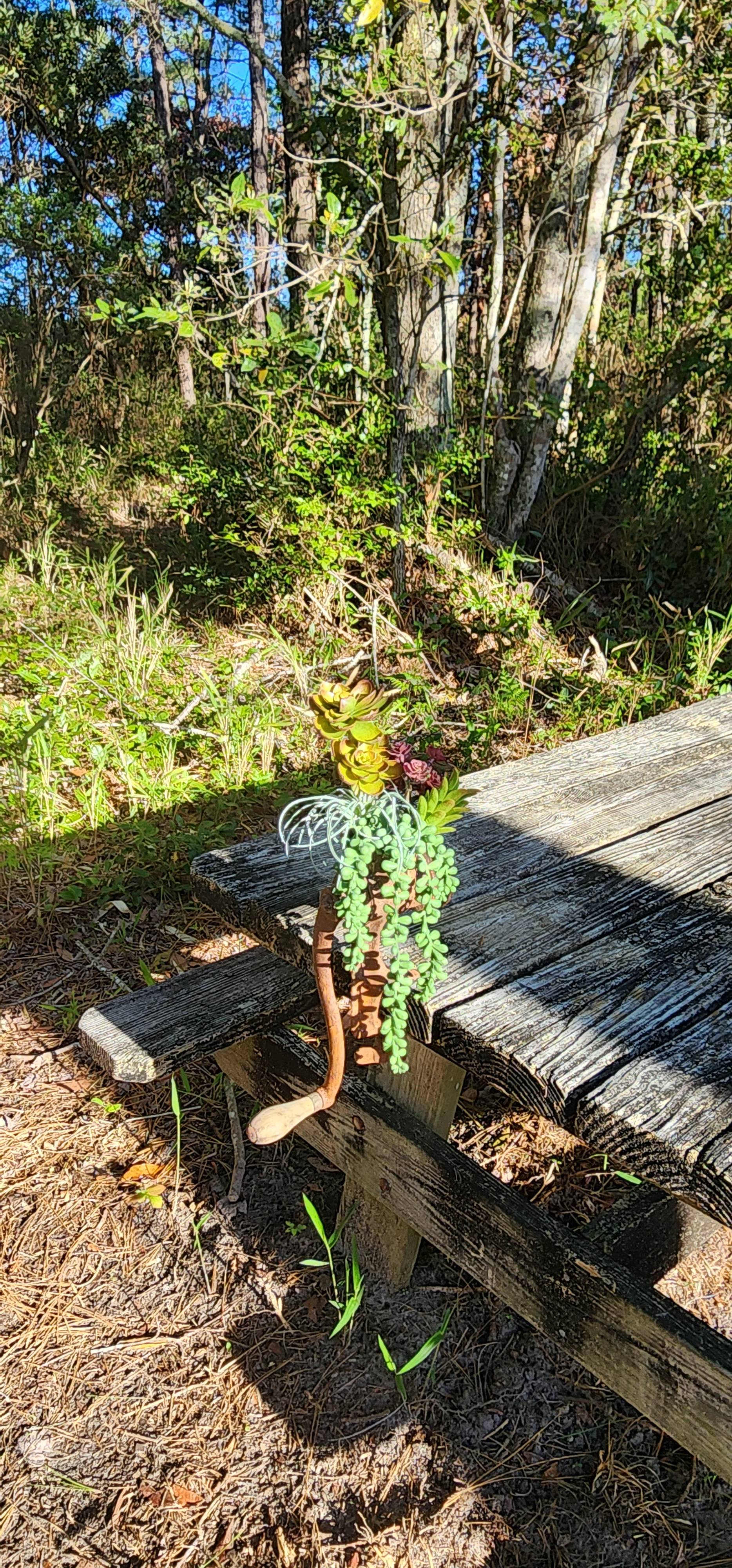 Picnic table deco behind cabin