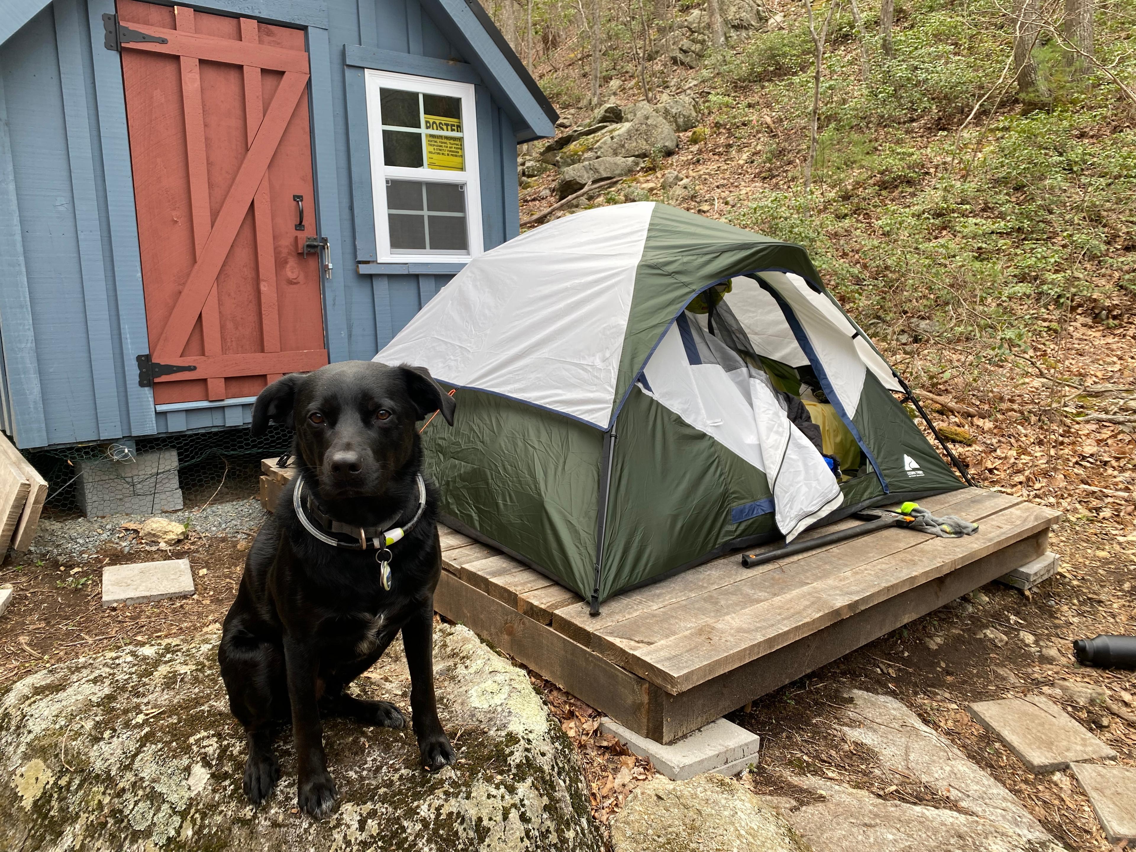 Meili Mtn - Tye River Escape