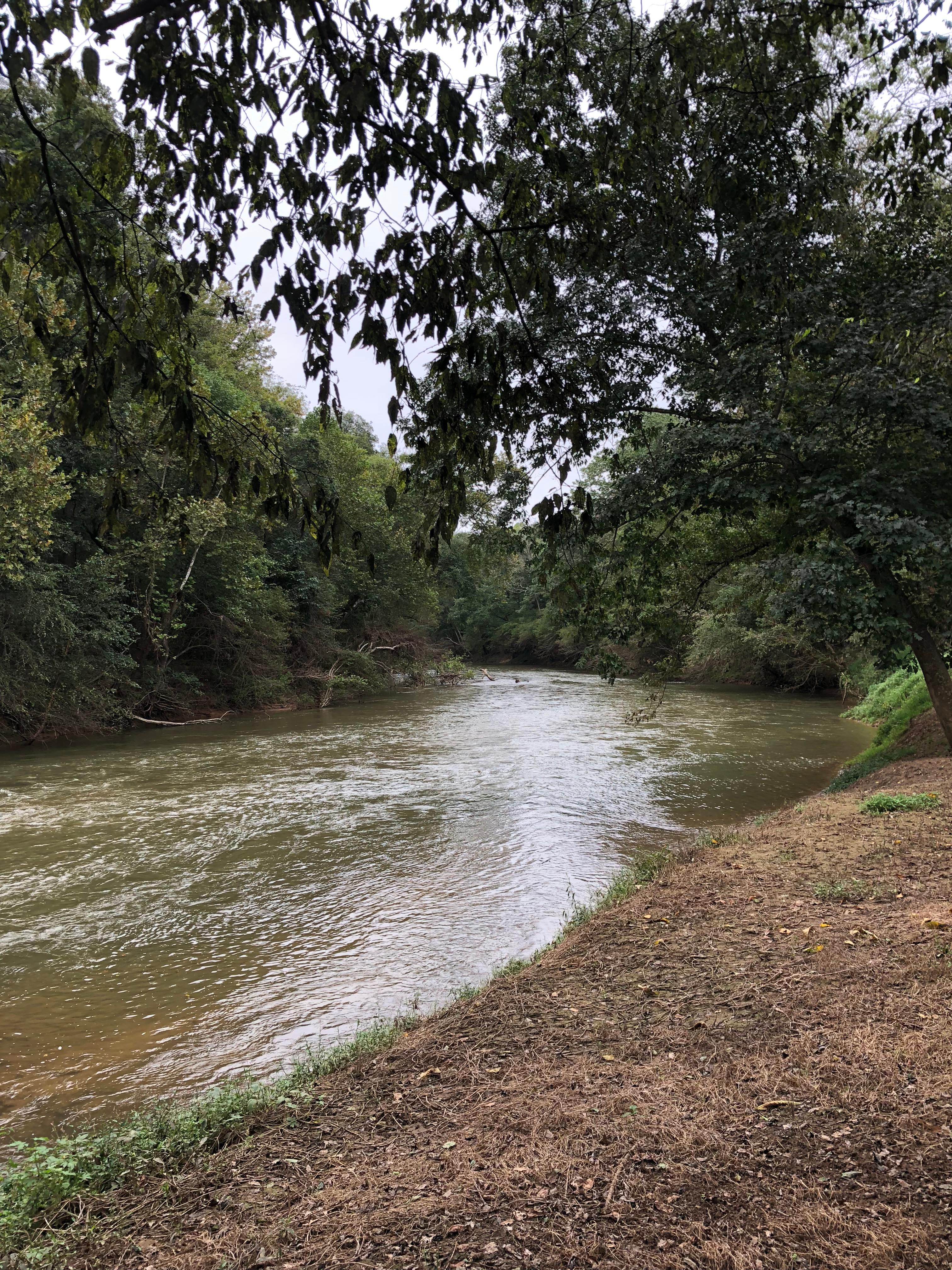 Camping on the Hazel River