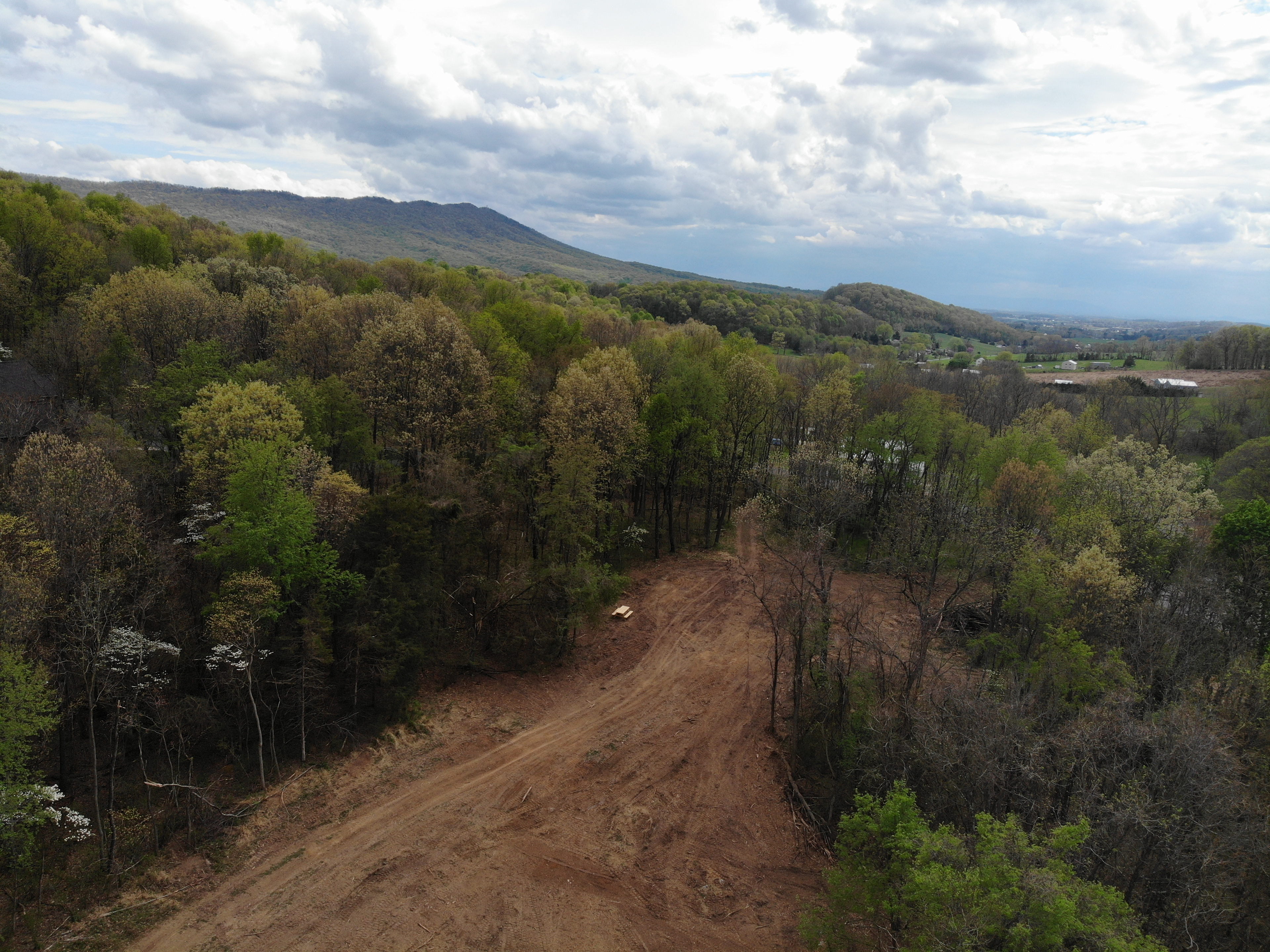 Ariel view of the property with Massanutten nearby in the distance. 