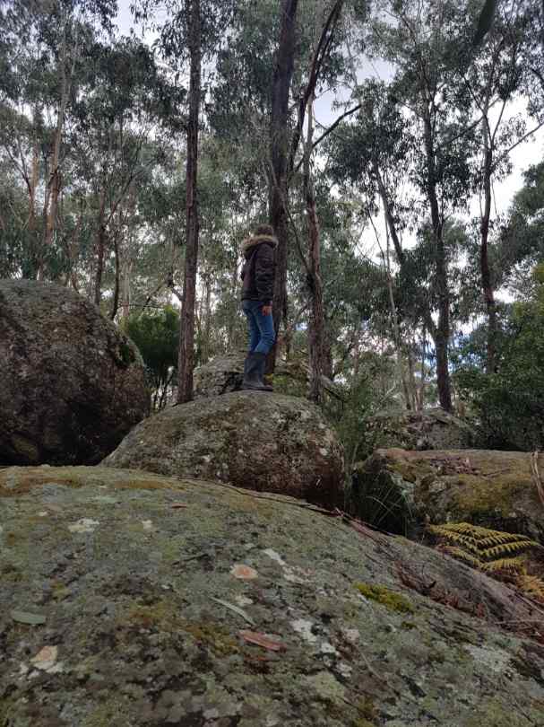 Bald Rock Station trains