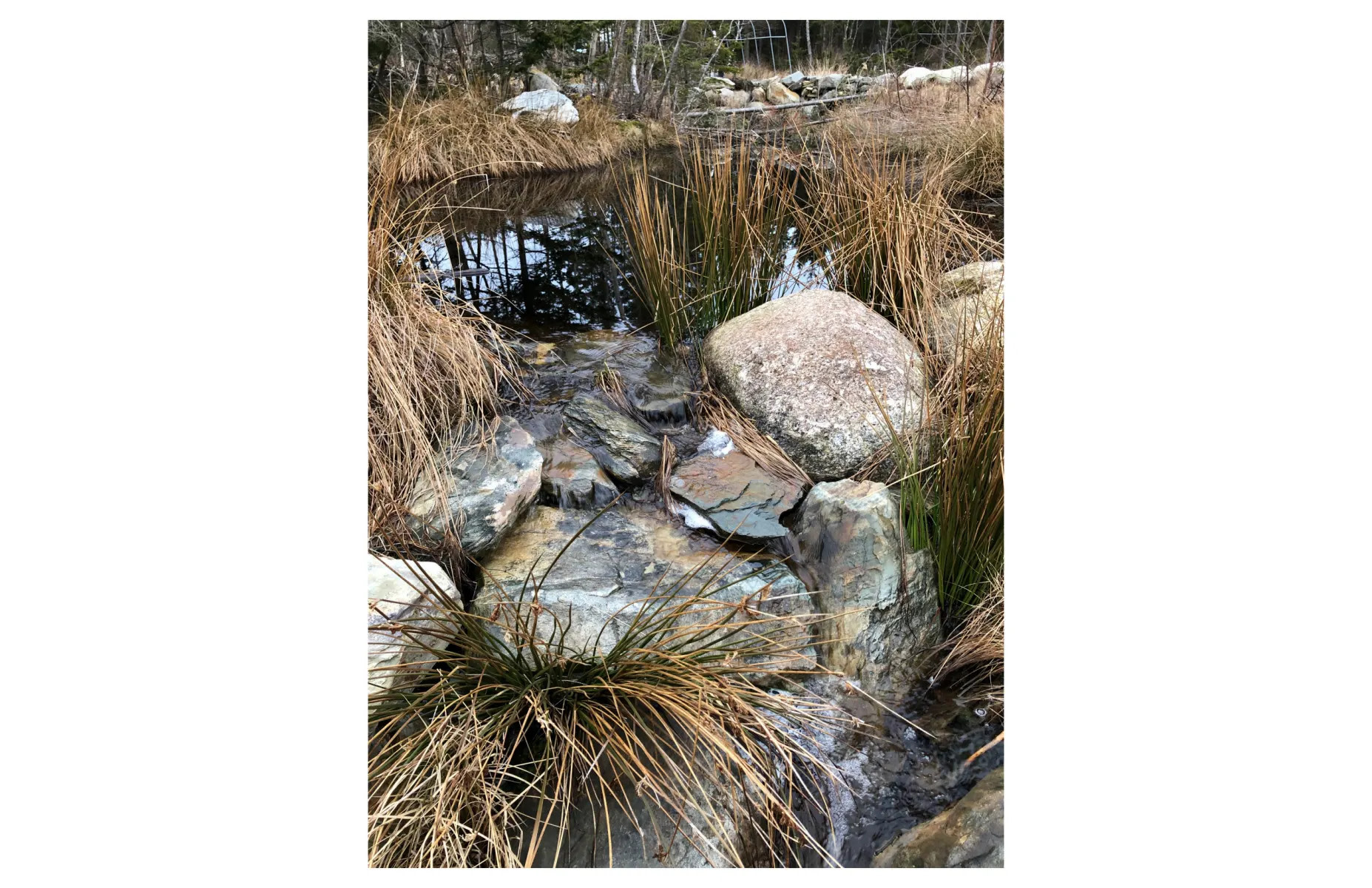 Saw Mill Pond Overflow