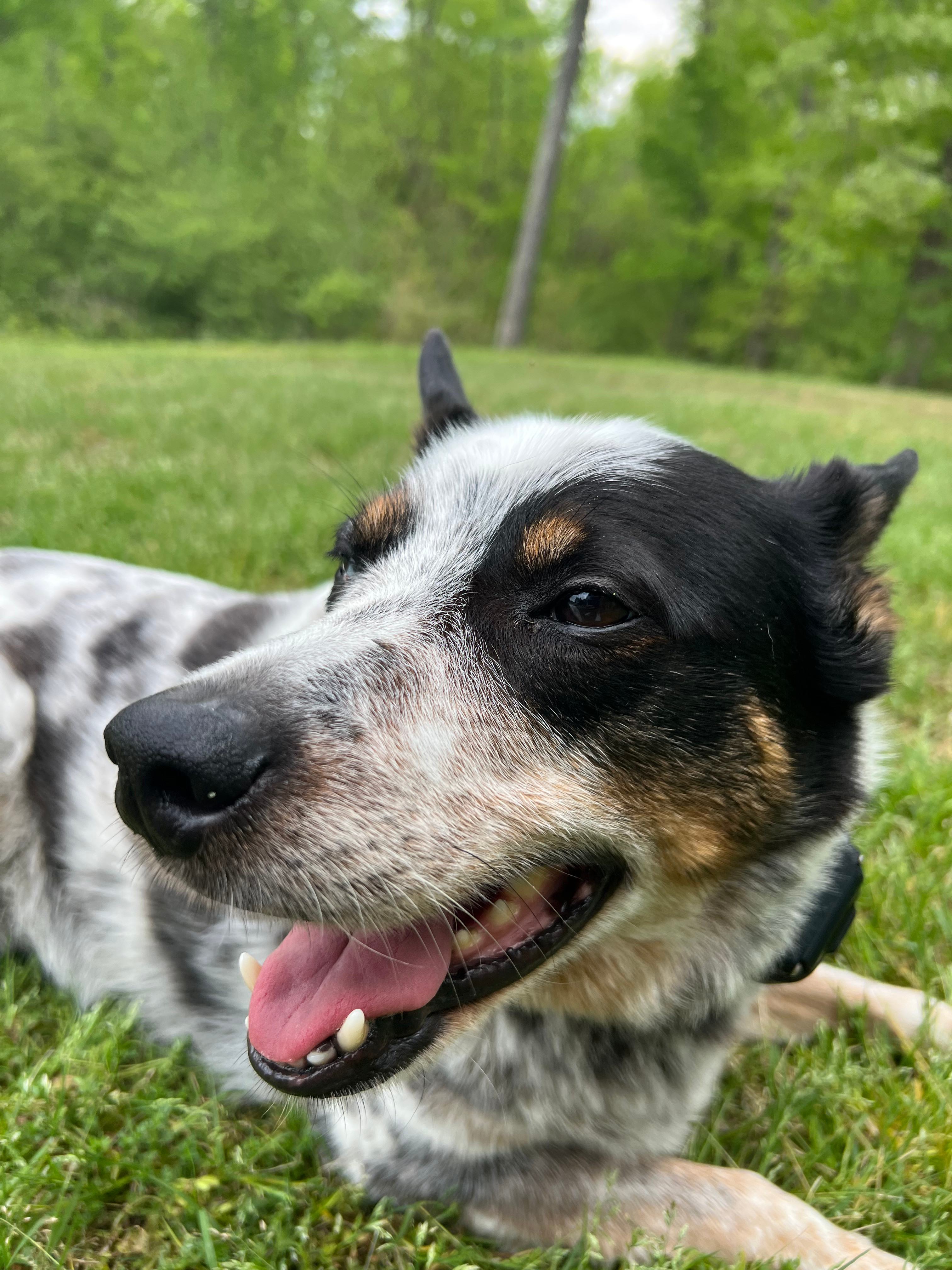 Jack approves! I mean, look at that smile.