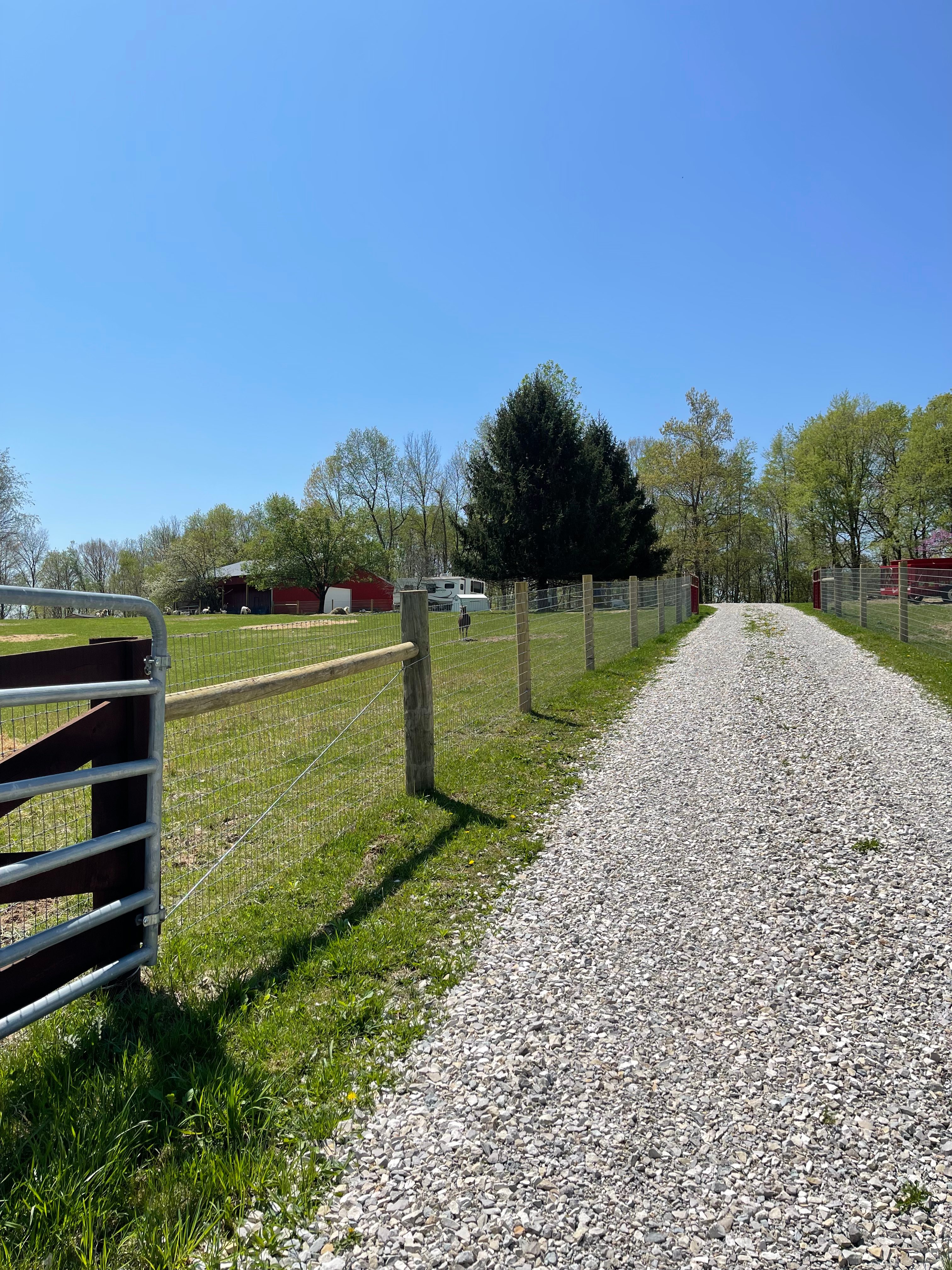 Ambers Acres