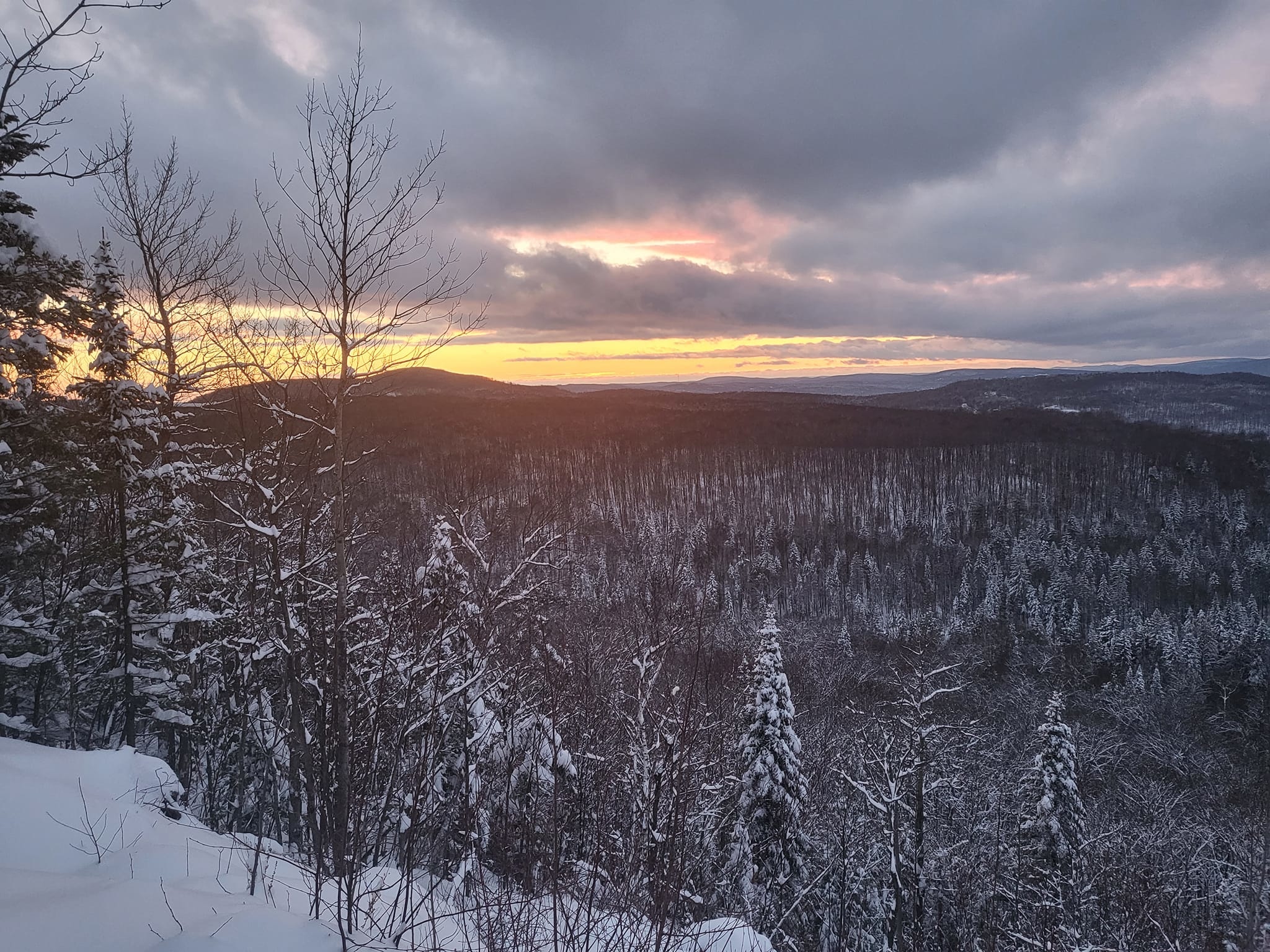 Cute Cabins - Ready to camp