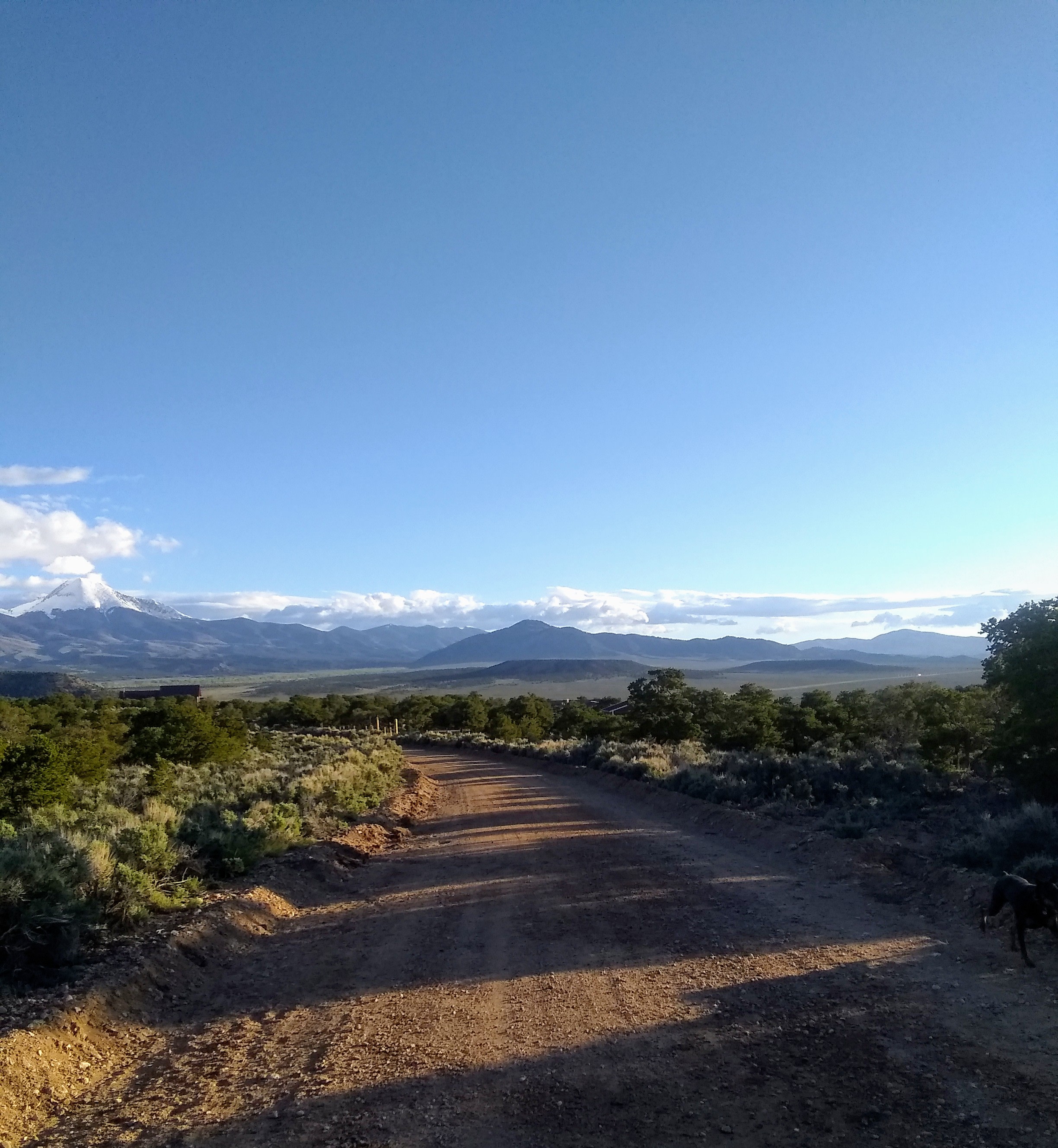 View of road to house.