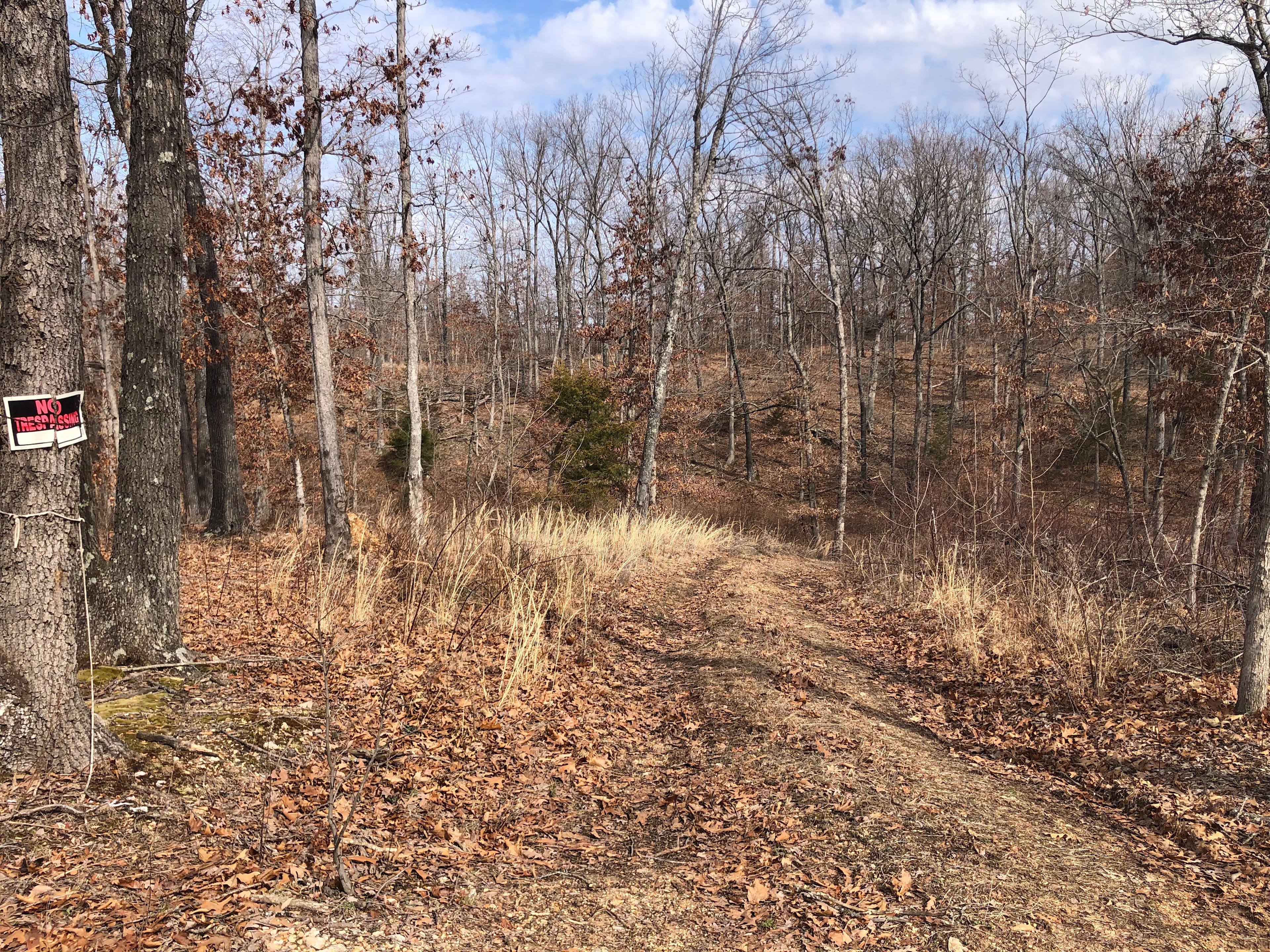 Parker Branch