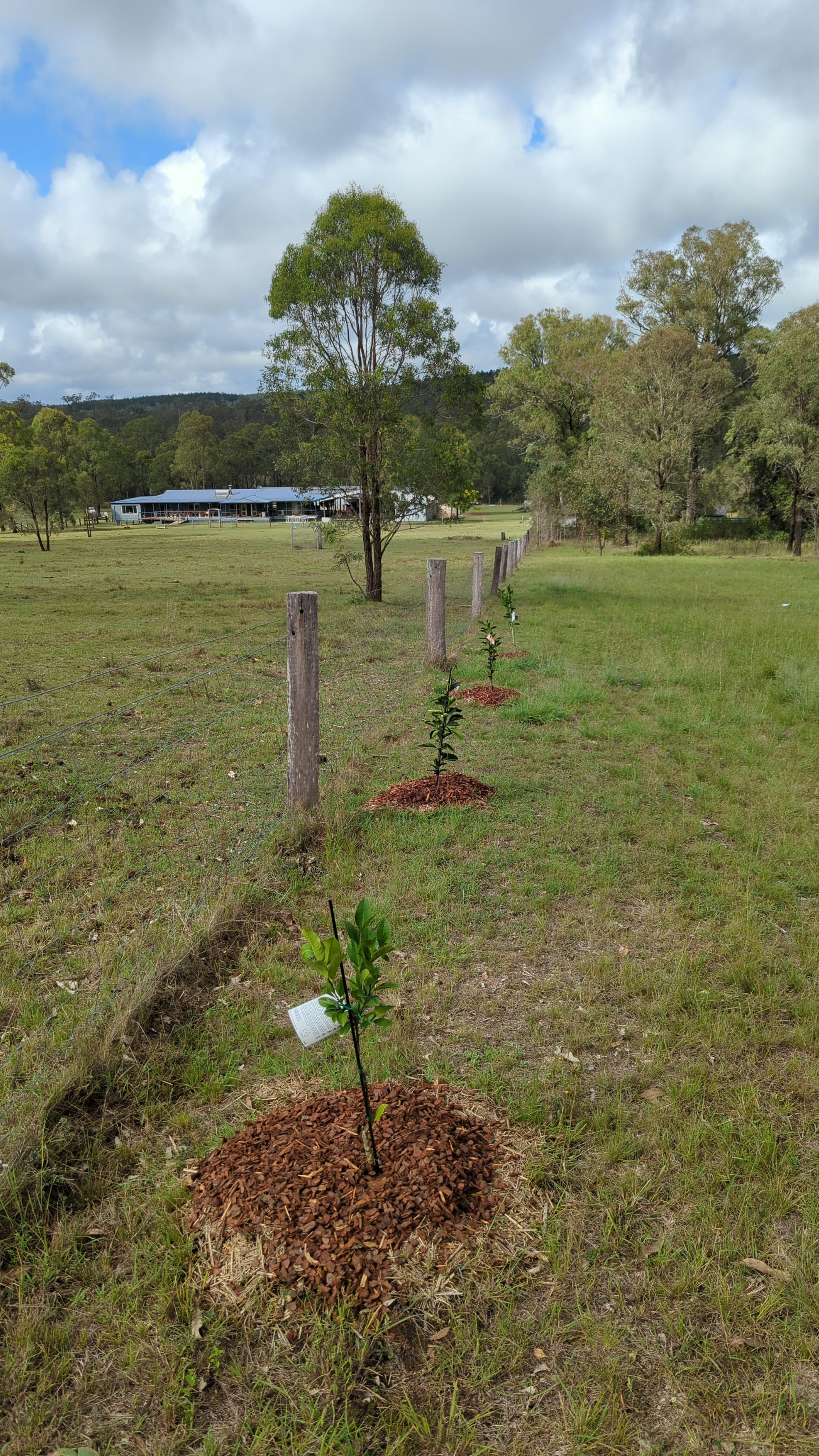 Peach Creek Retreat