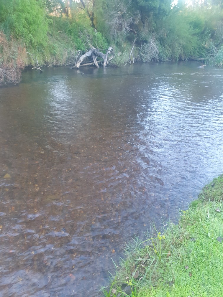 Micks Campsite