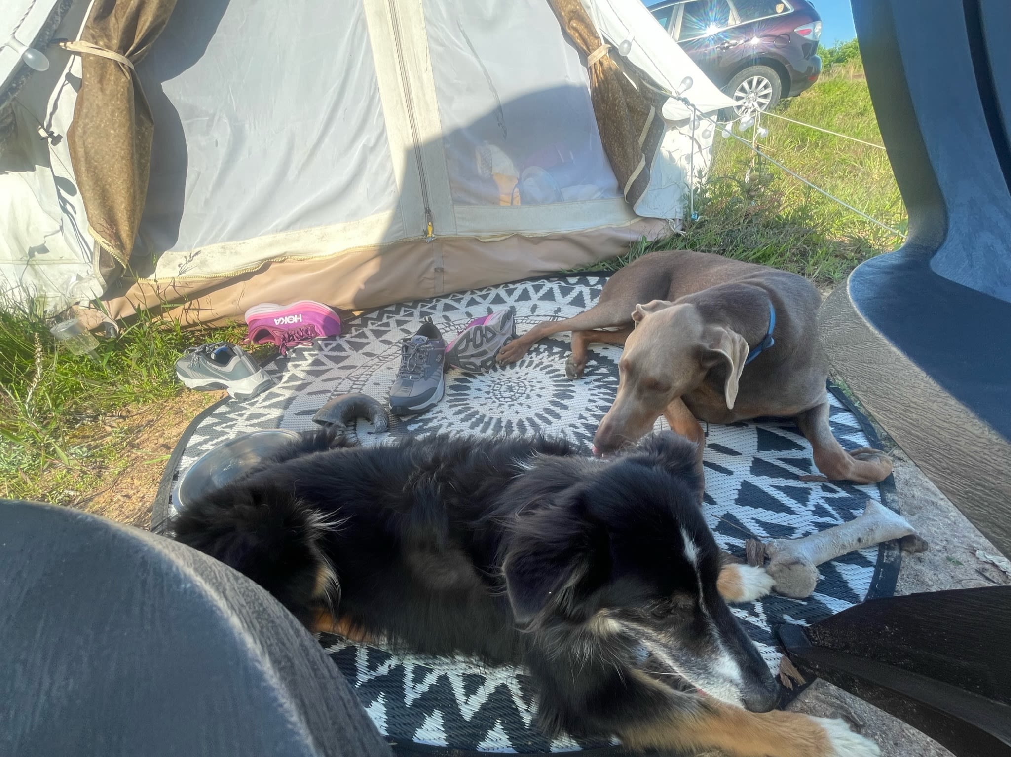 County Rd Camp & Glamp