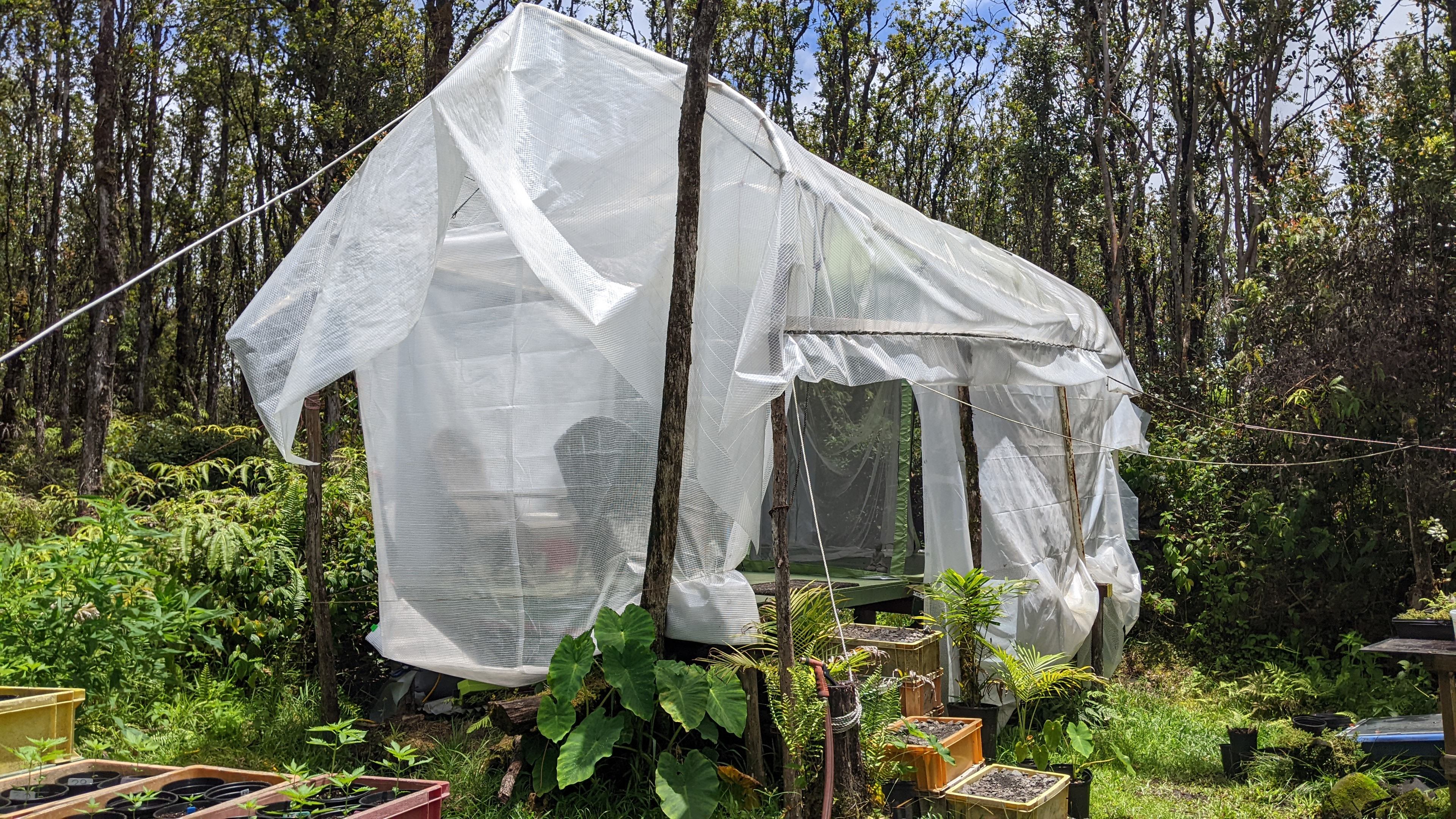 Greenhouse Campsite