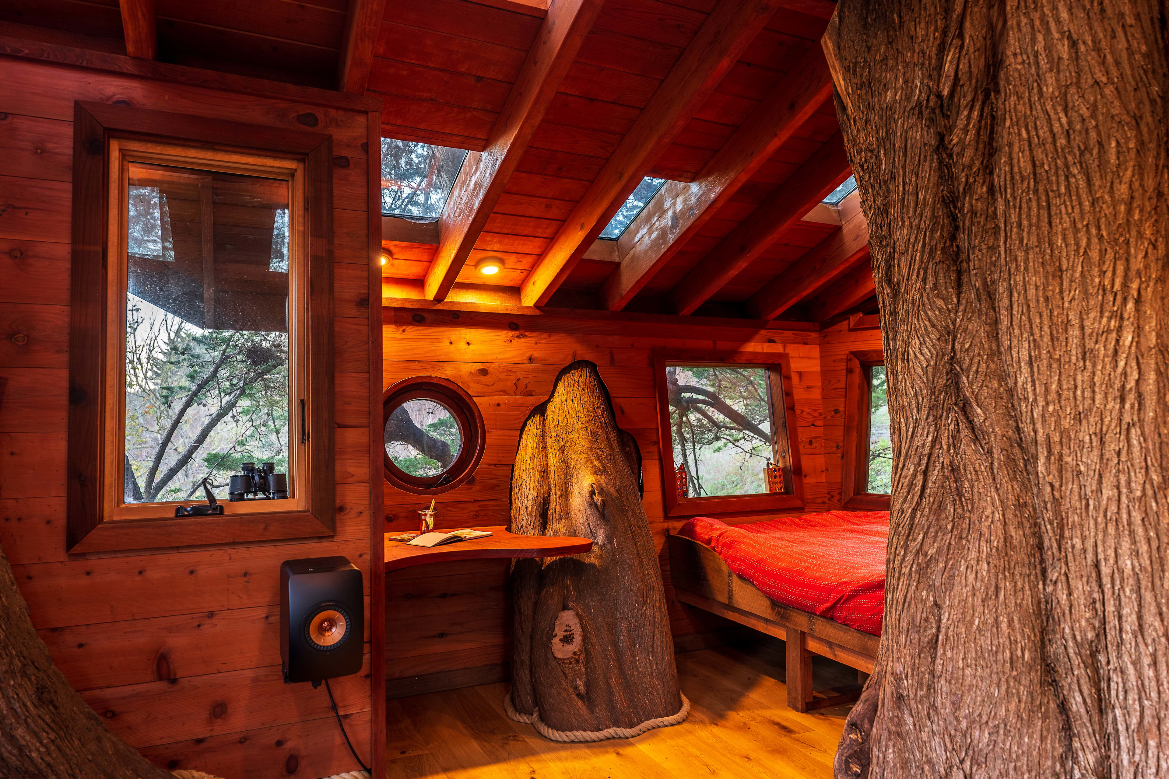 Stunning Treehouse & Cabin