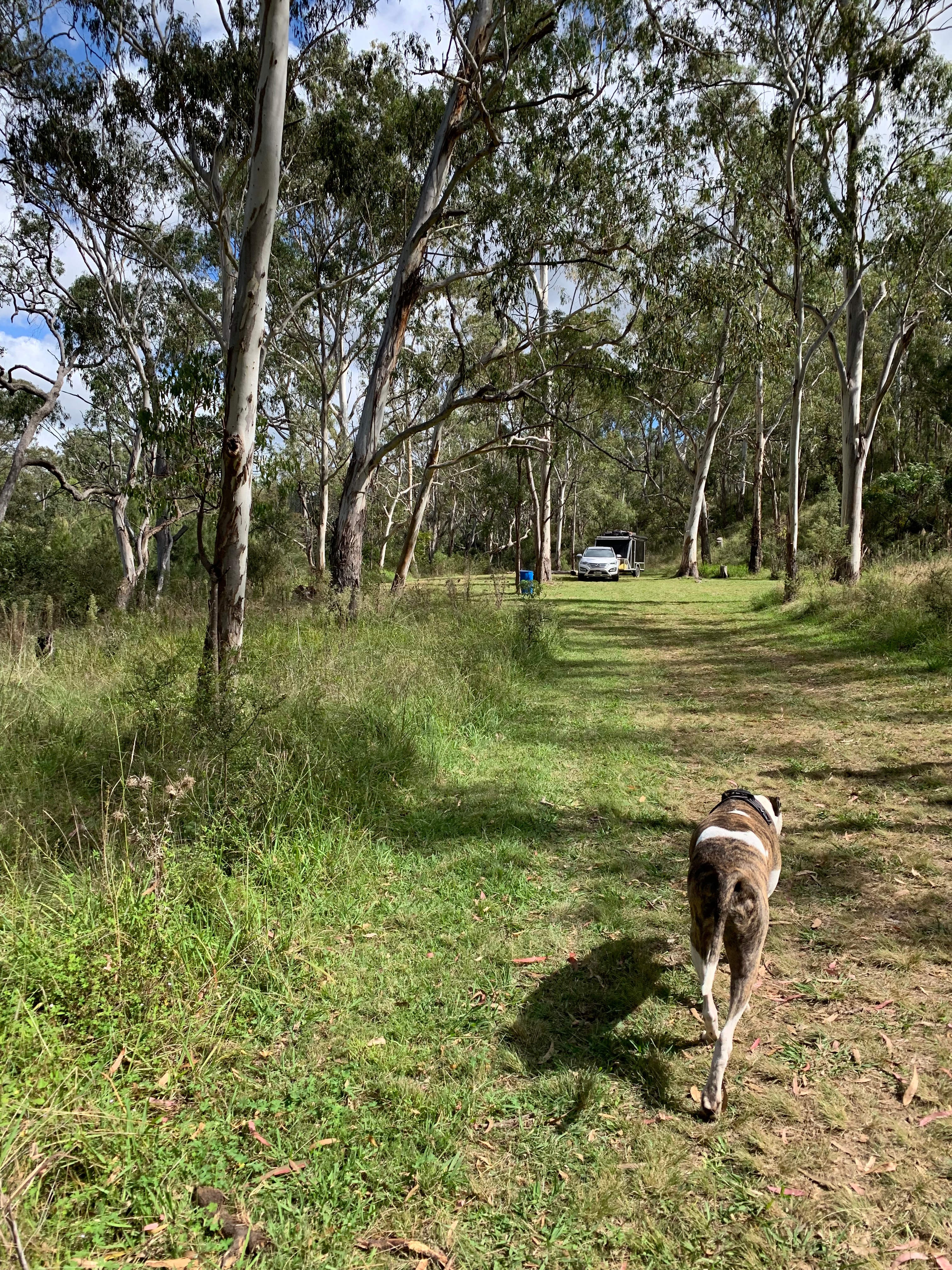 Higgins Country Retreat