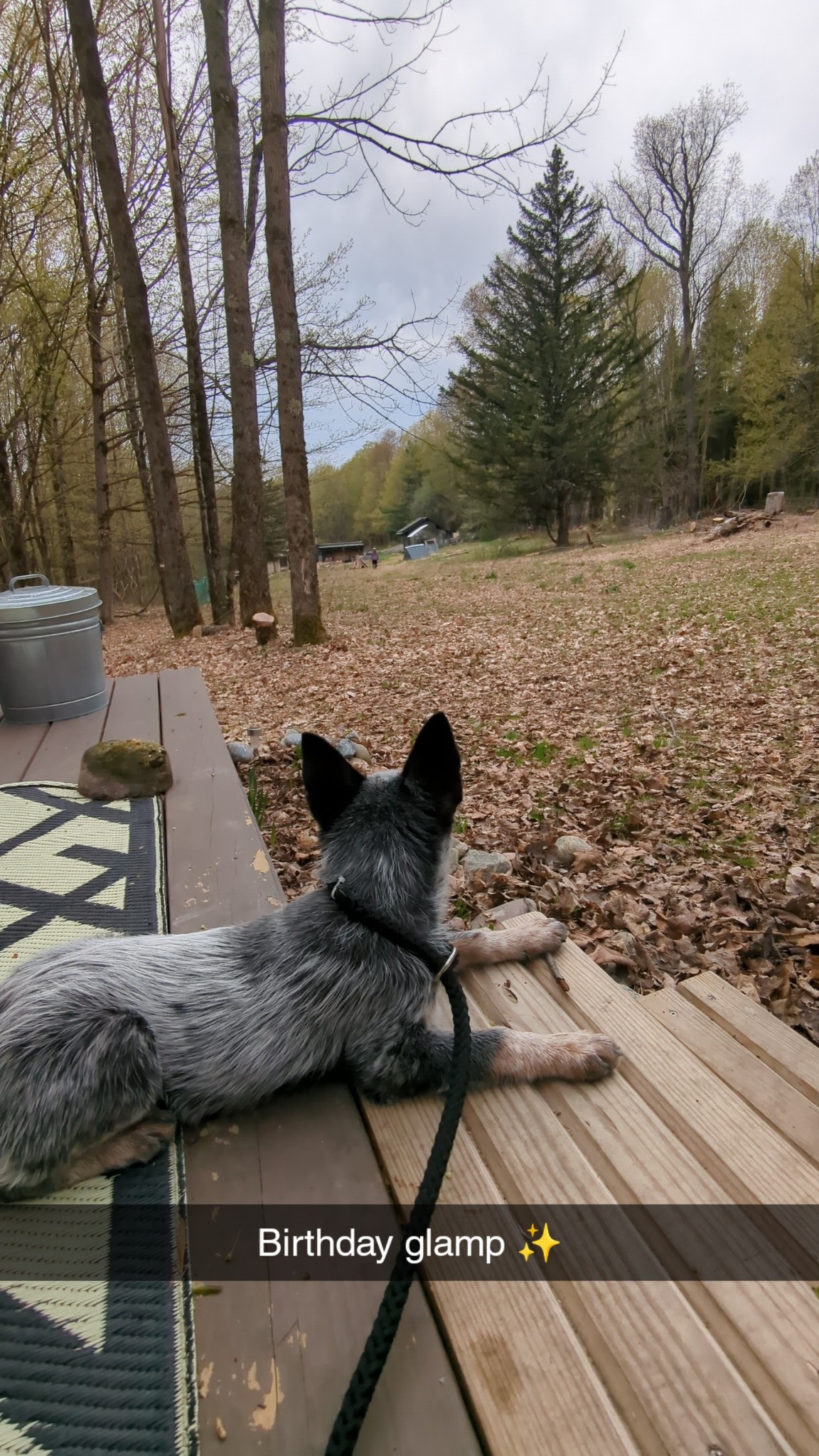 Adirondack Homestead Glamping