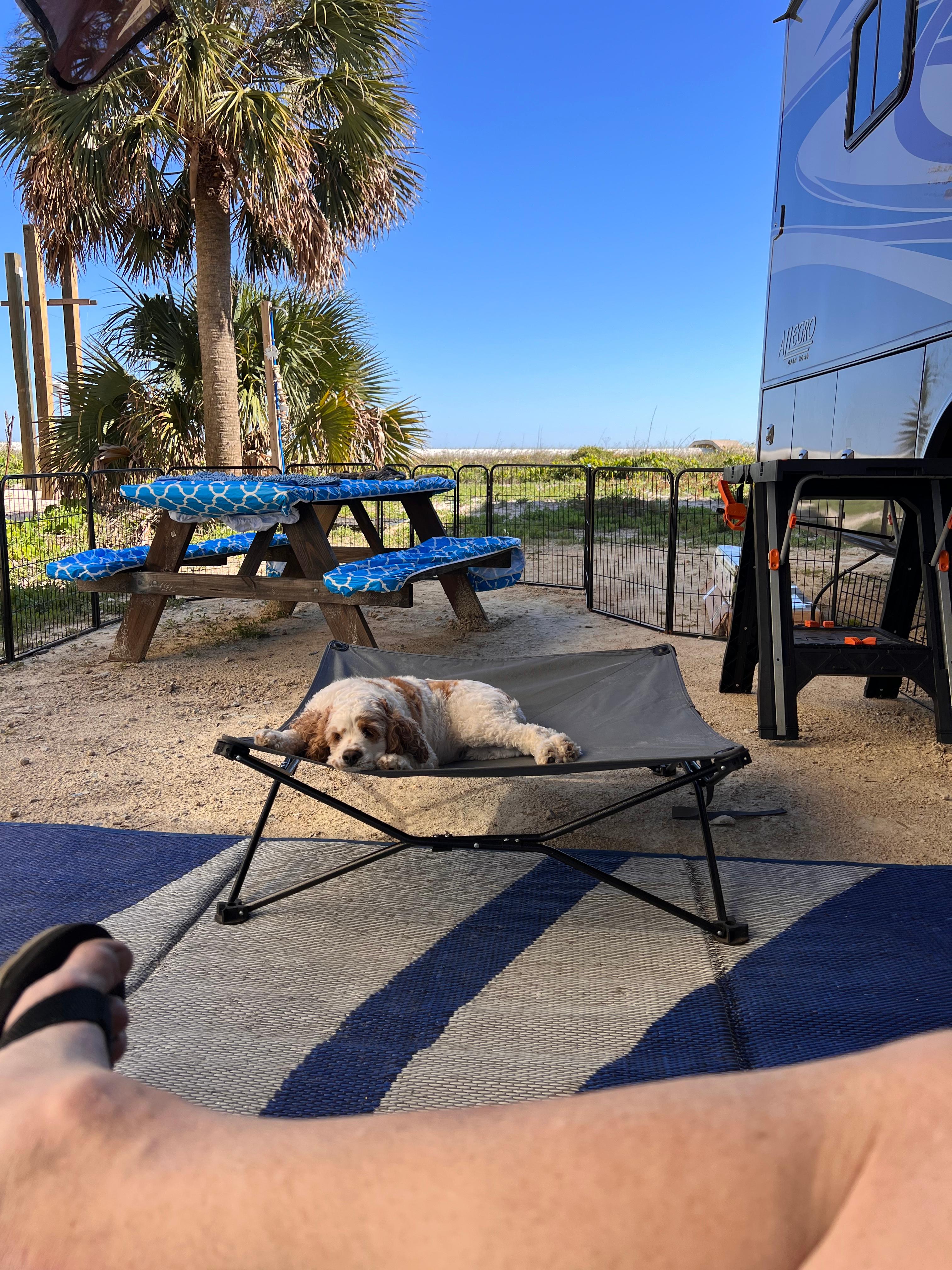 The Crab Claw' Beach Front RV Lot