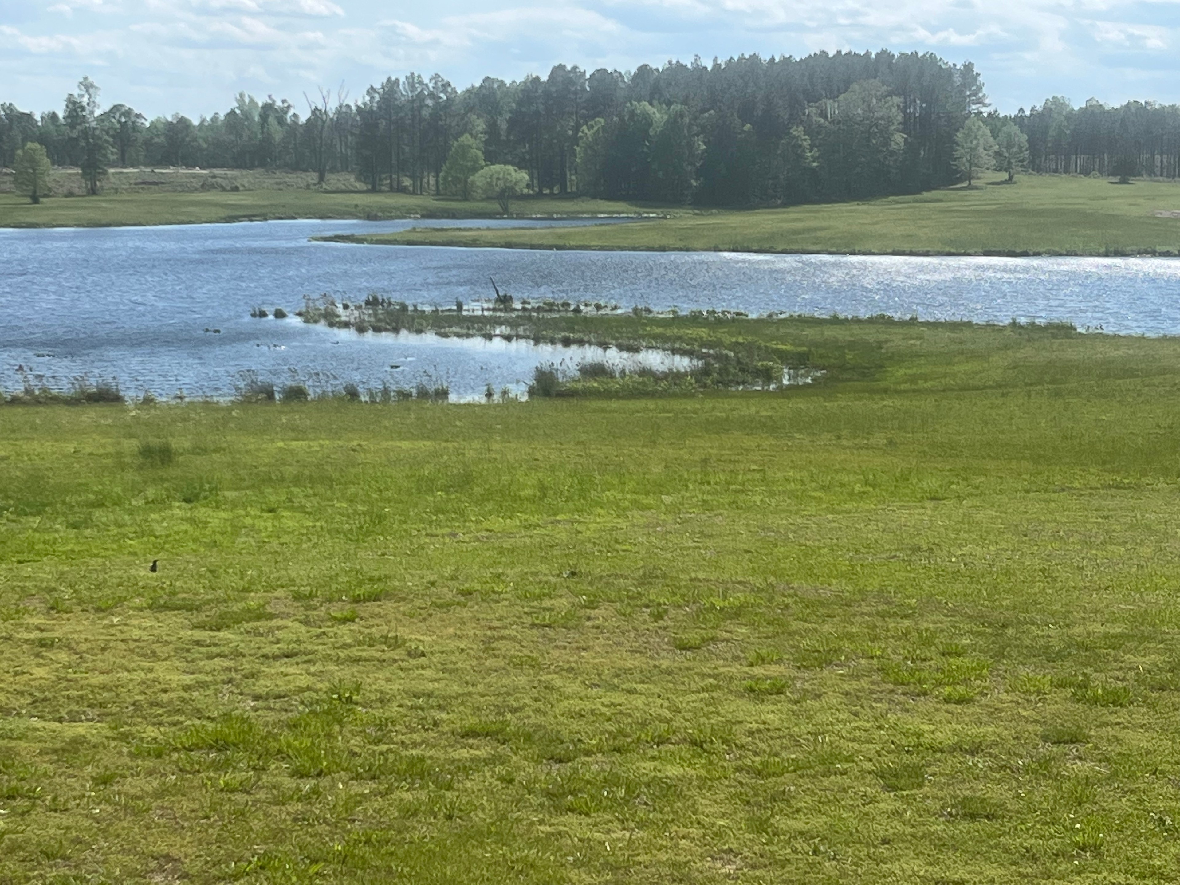 Ammon Creek Campground 