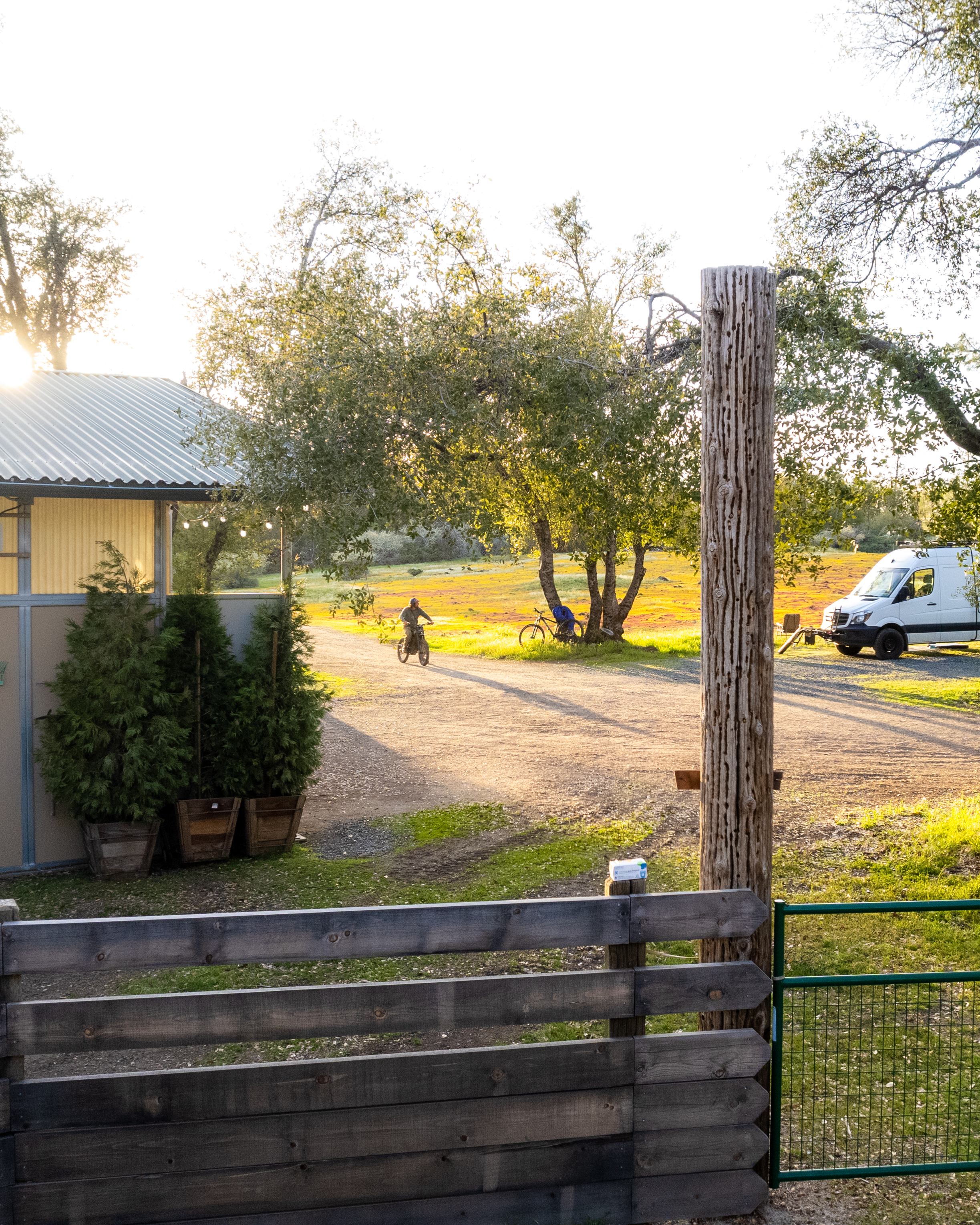 View from the Dog play area