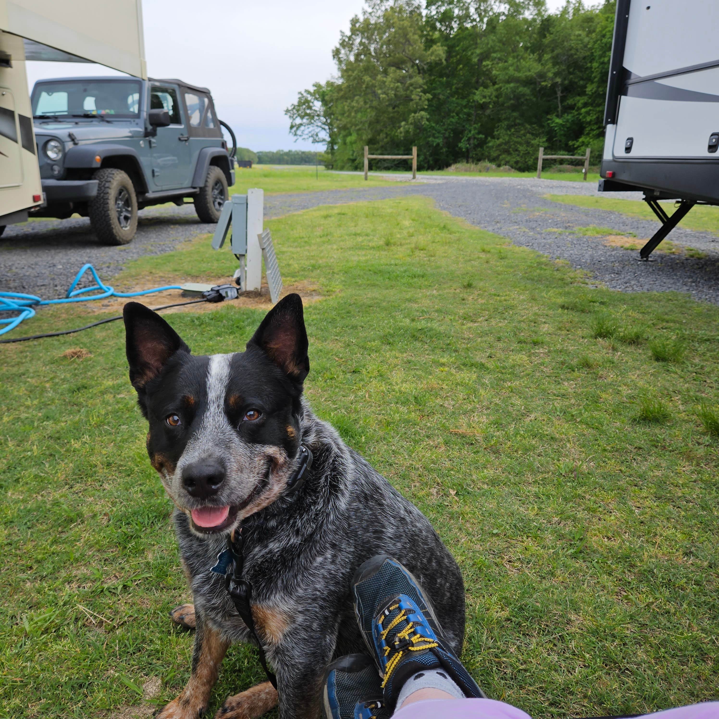 A quiet nights rest at H & G RV