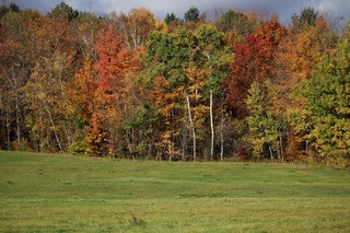 Camp Hart Campsite