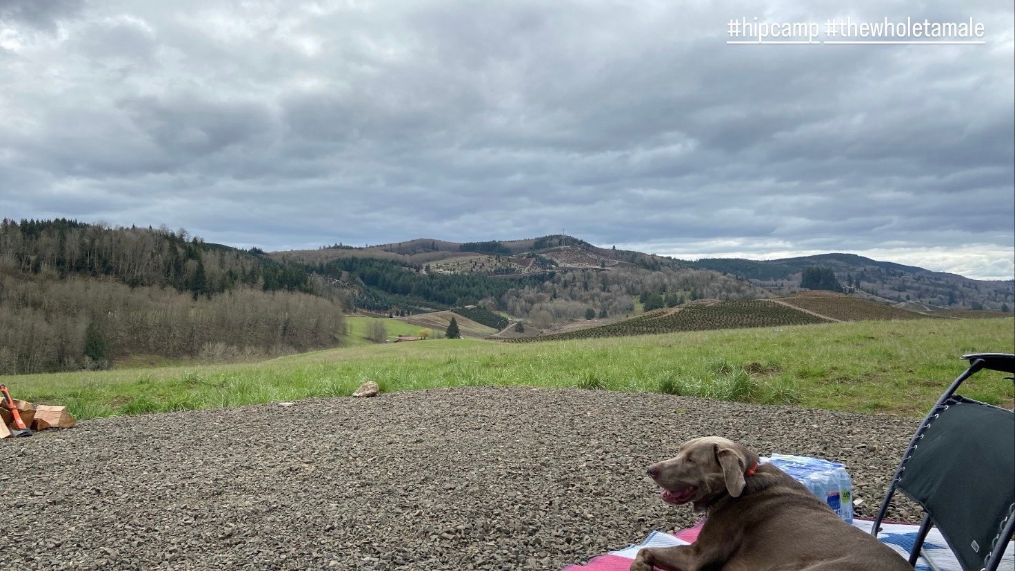 21 Acres above Riffe Lake Park