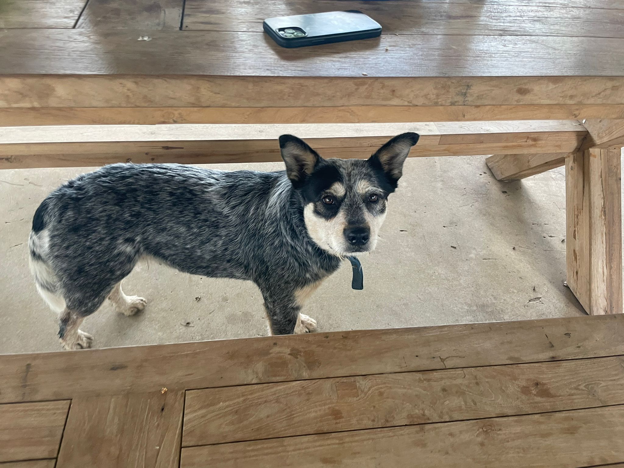 Down by the Hawkesbury - Exclusive