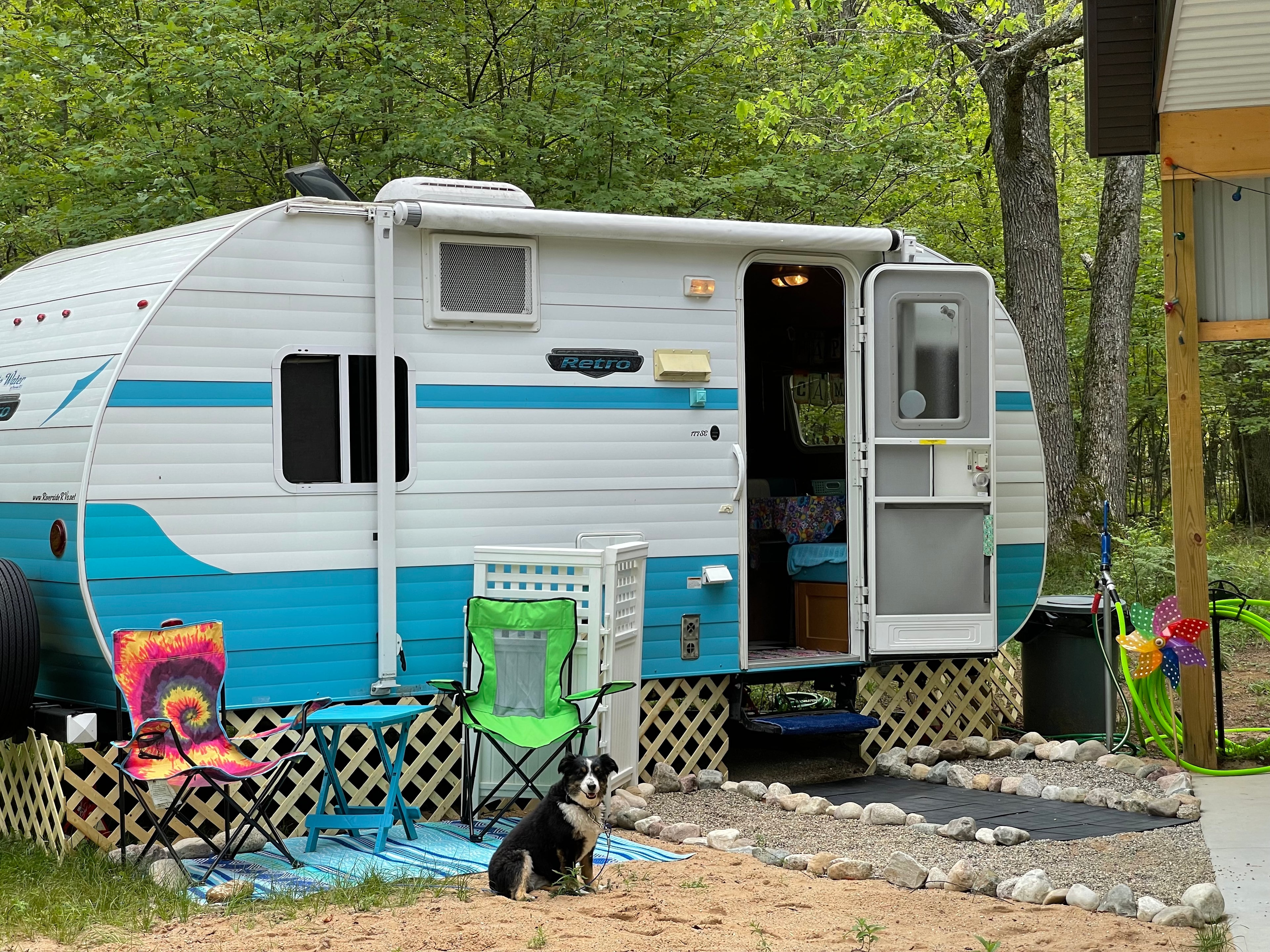 Daisy Jane in the meadow
