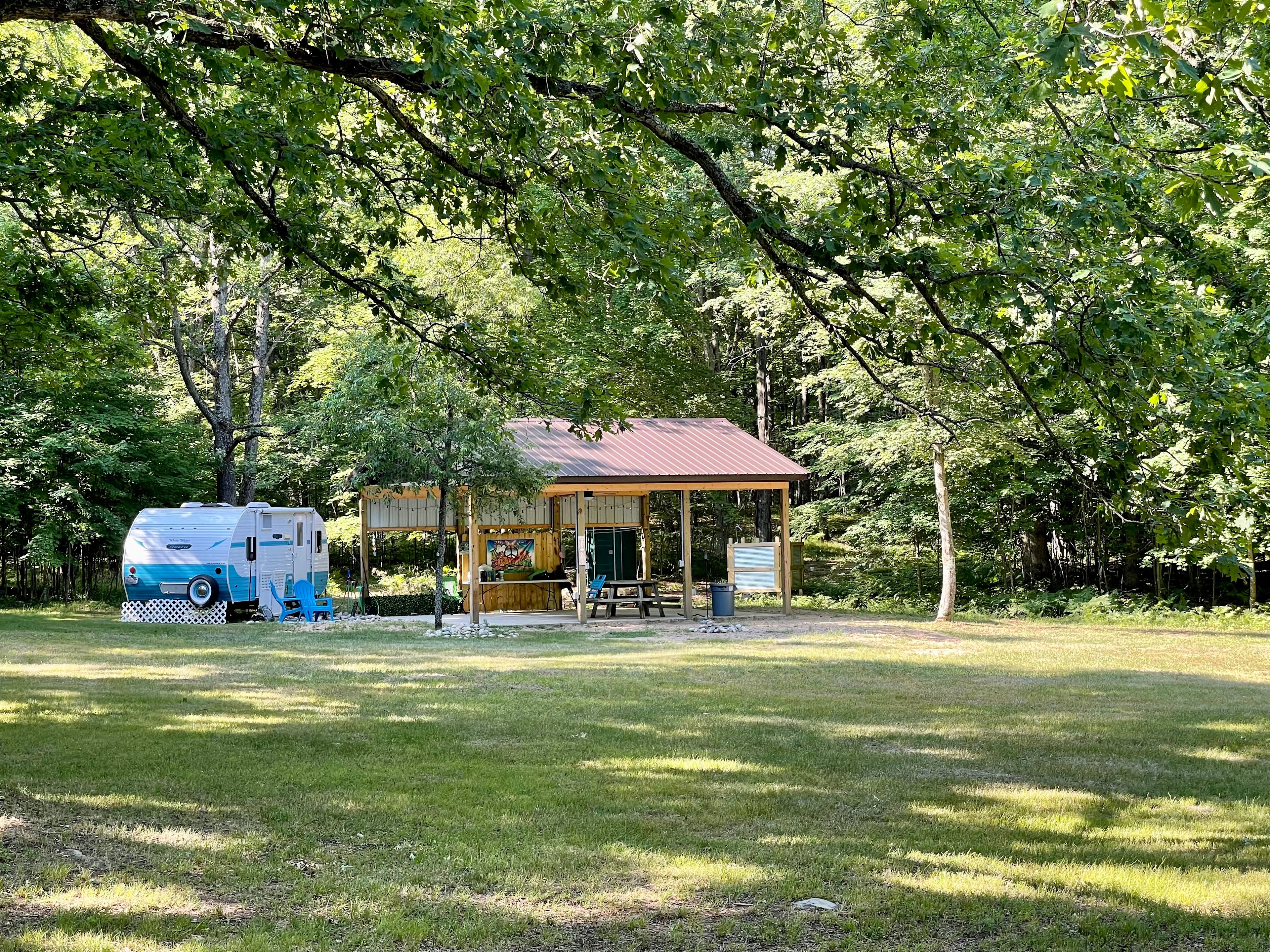 Daisy Jane in the meadow