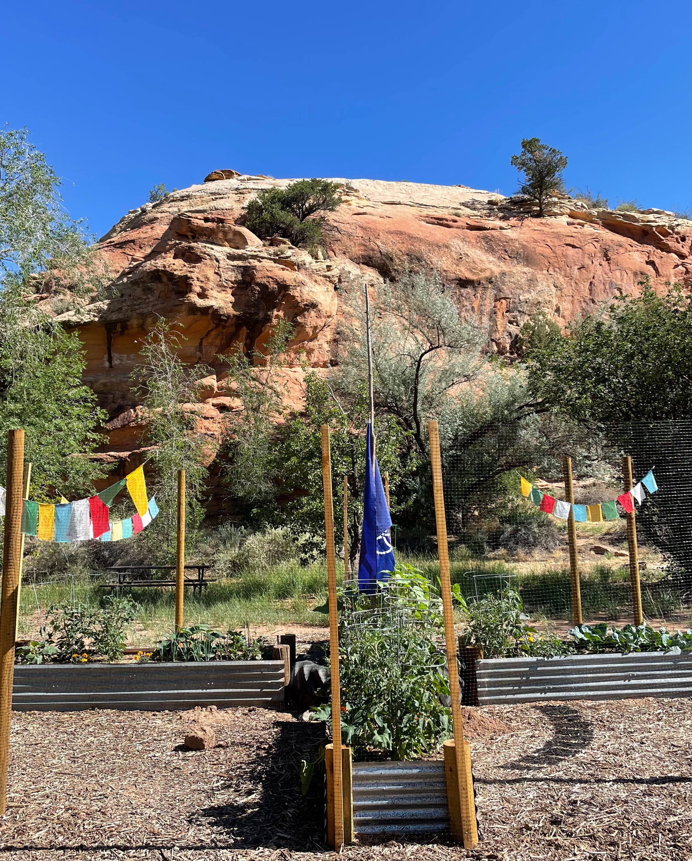 A view of the cliffside camp spots picnic table directly beyond the four directions garden.