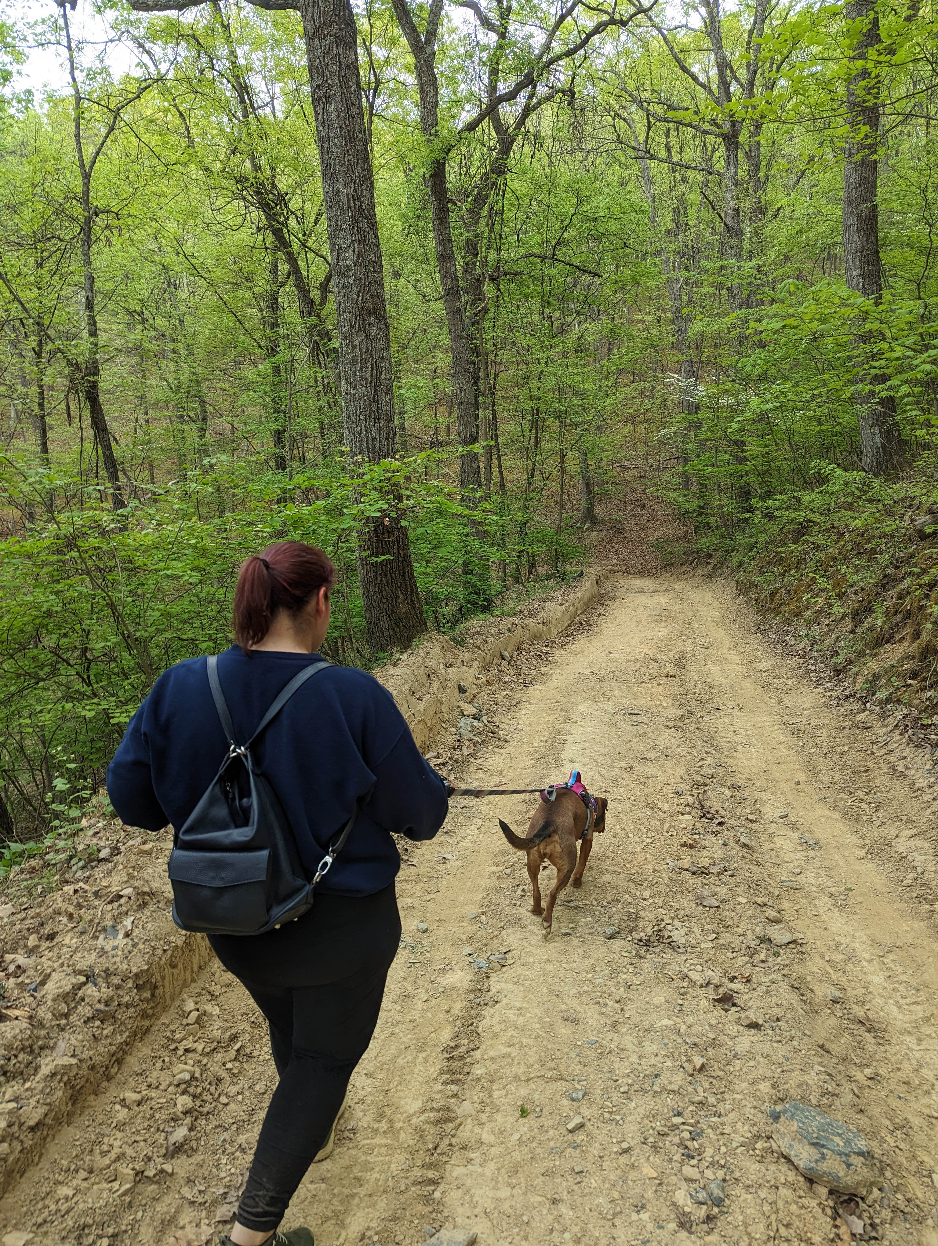 Tunnel Hill Trail