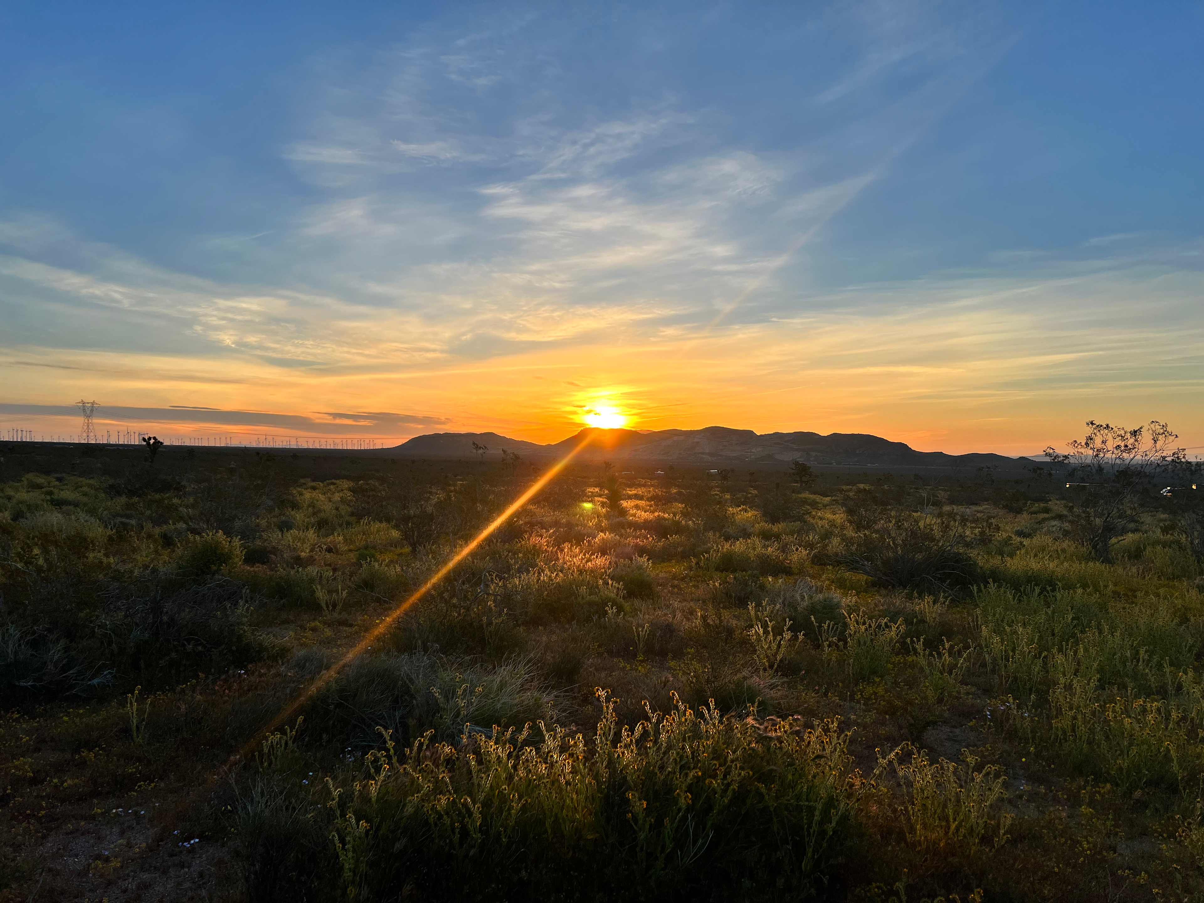 High Desert, Joshua Trees, & Views