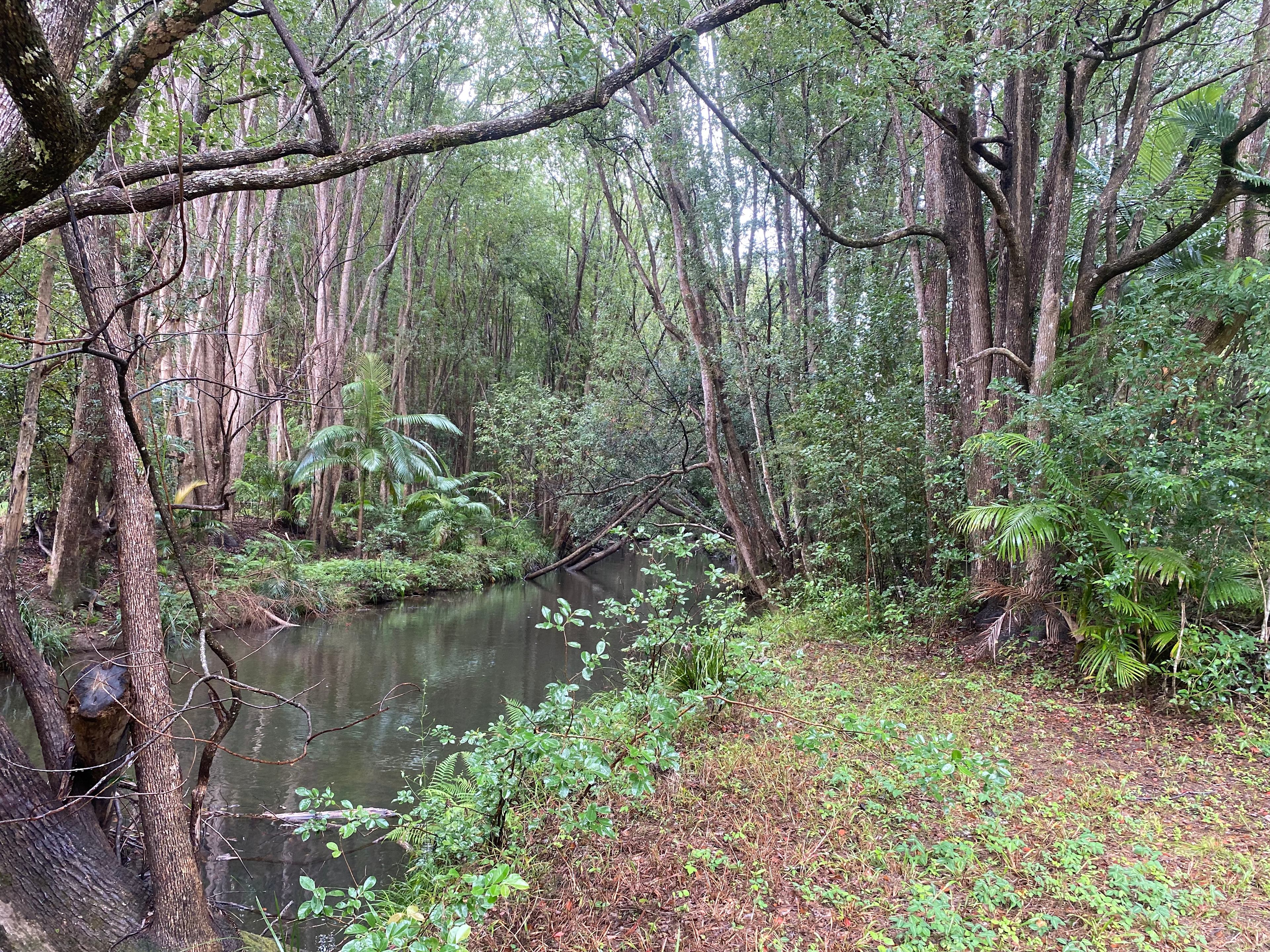 Yep this is the creek!