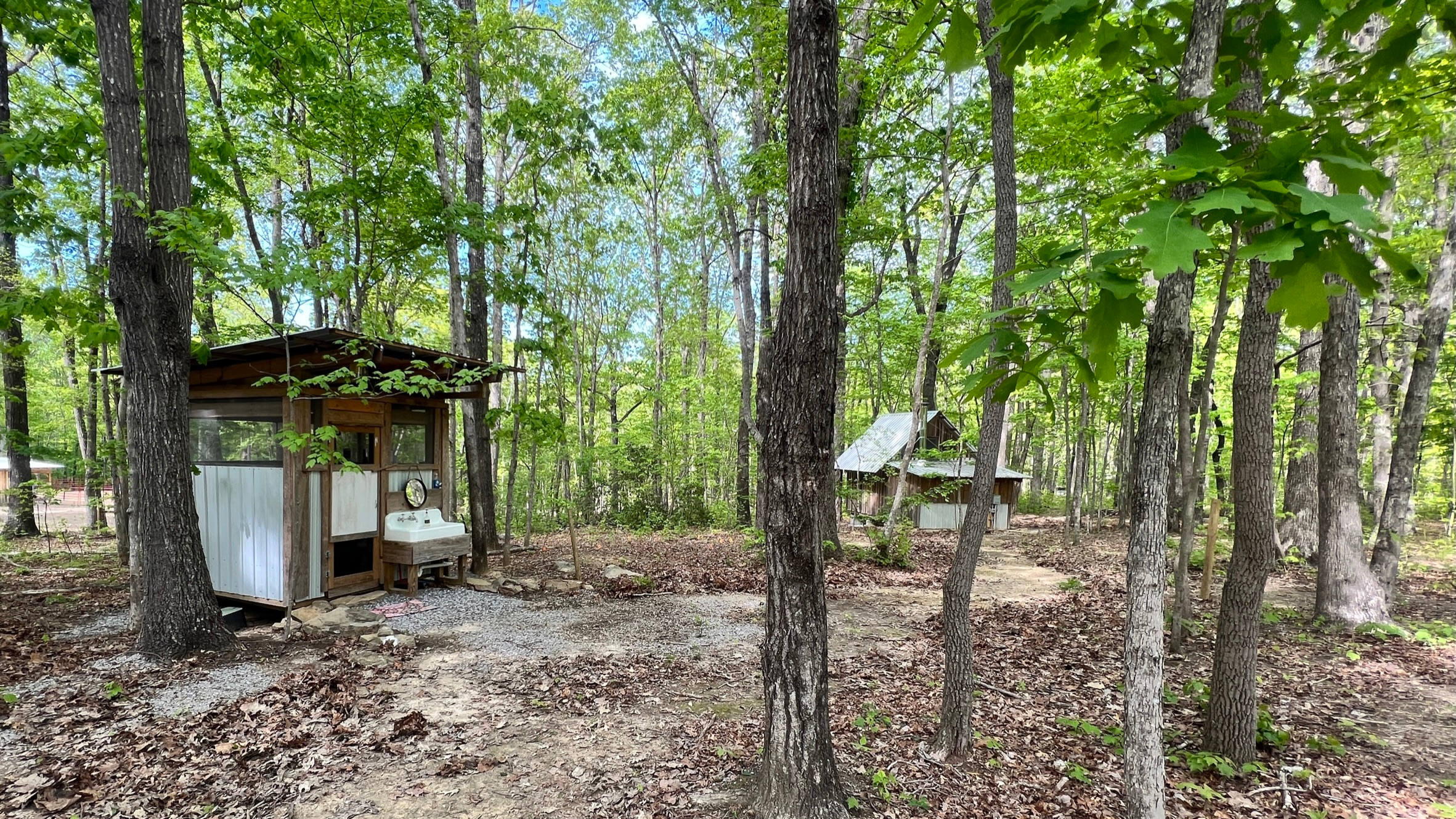 Cabin and Barn on 20 Peaceful Acres