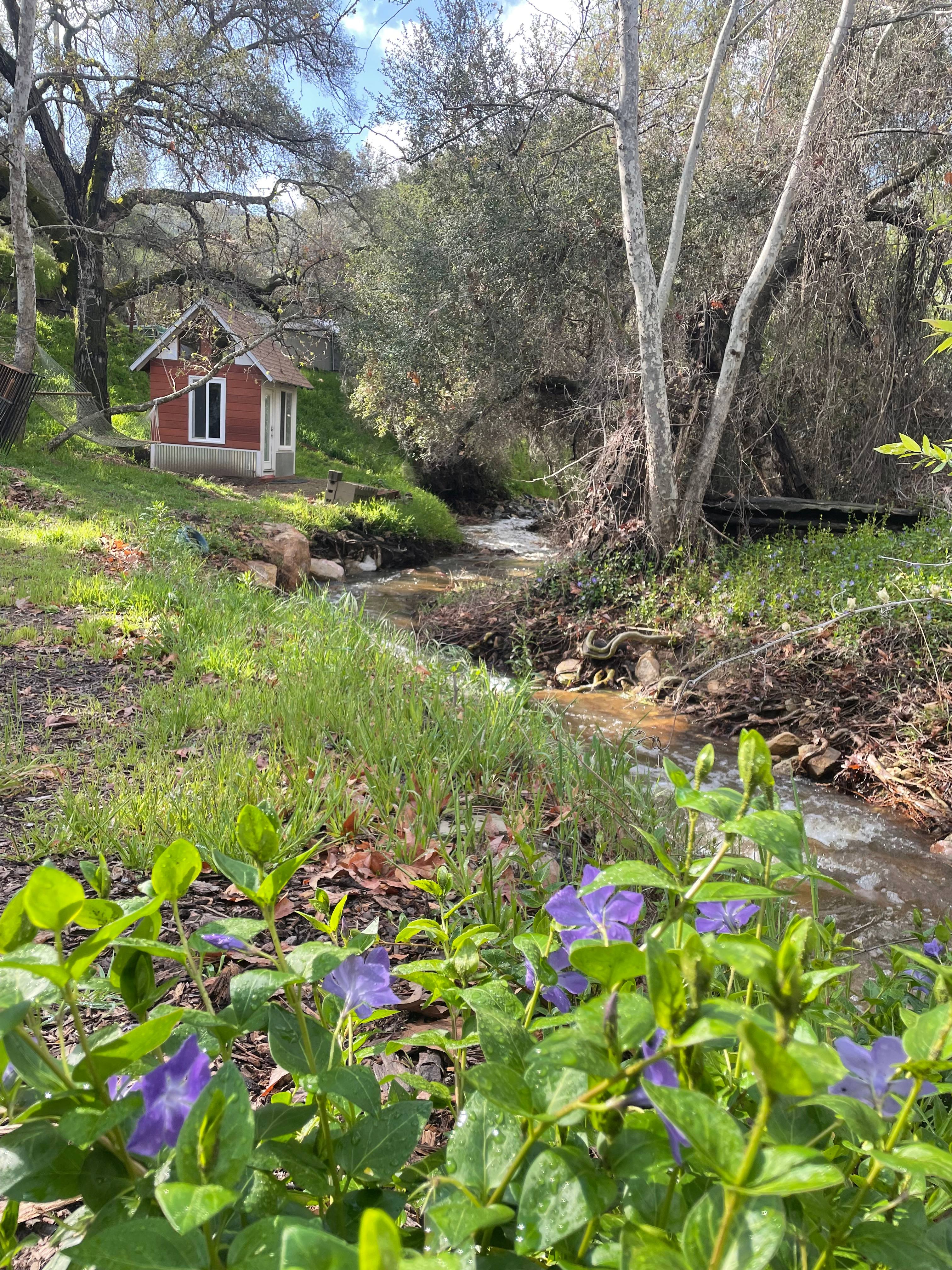 San Diego Canyon Creek