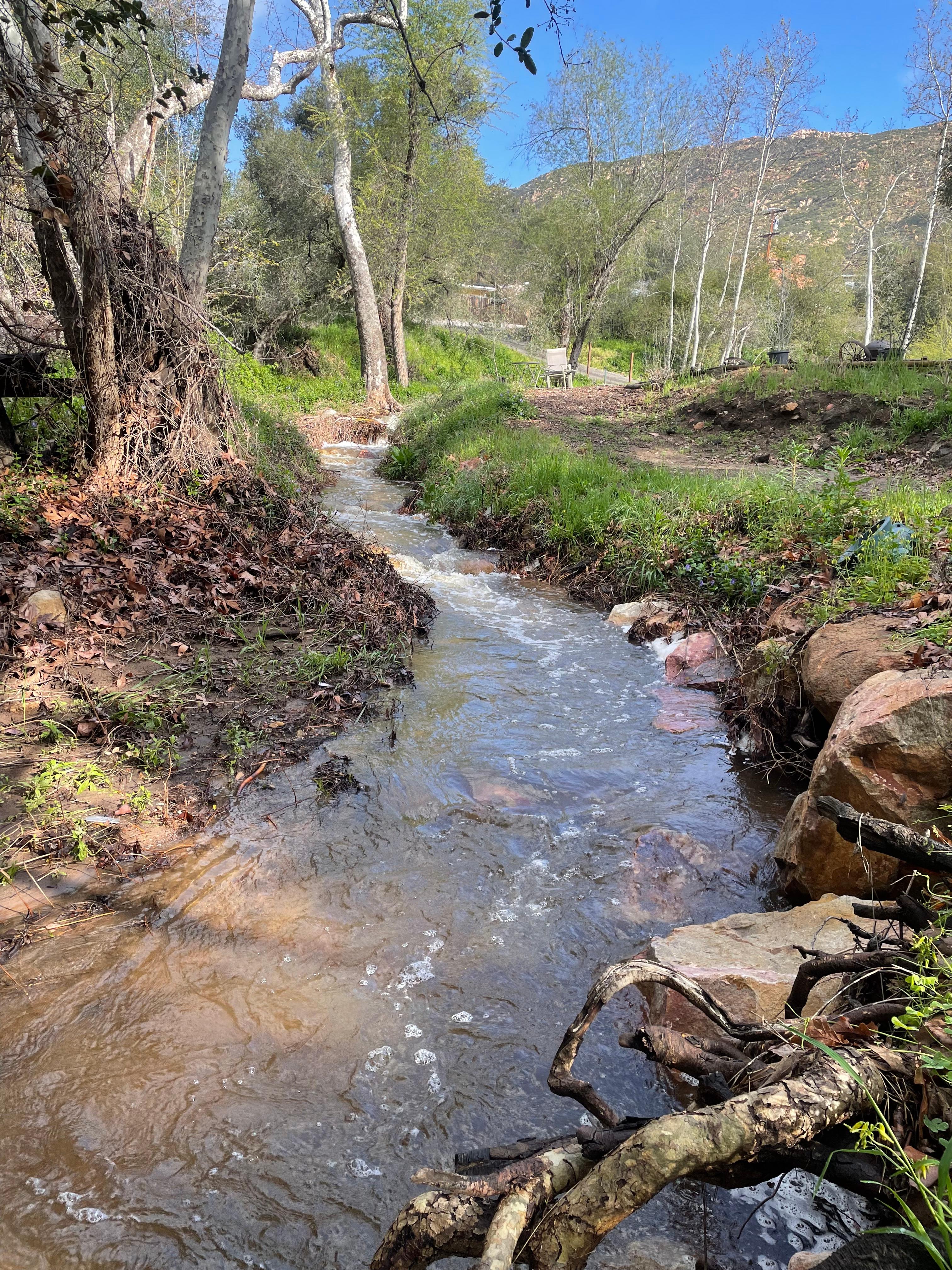 Creek during rainy season 