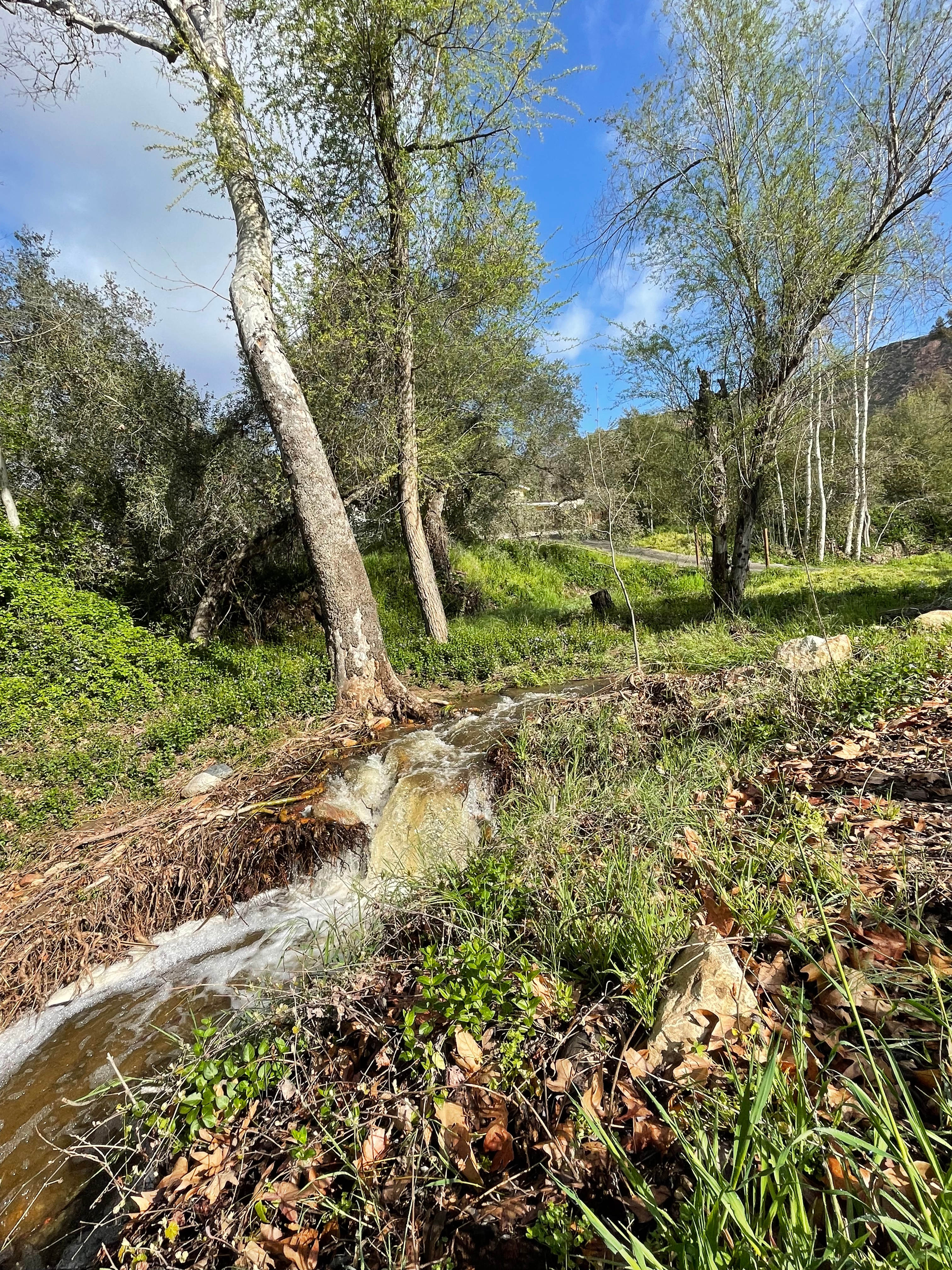 The seasonal waterfall, wonderful to fall asleep to the sound of flowing water 