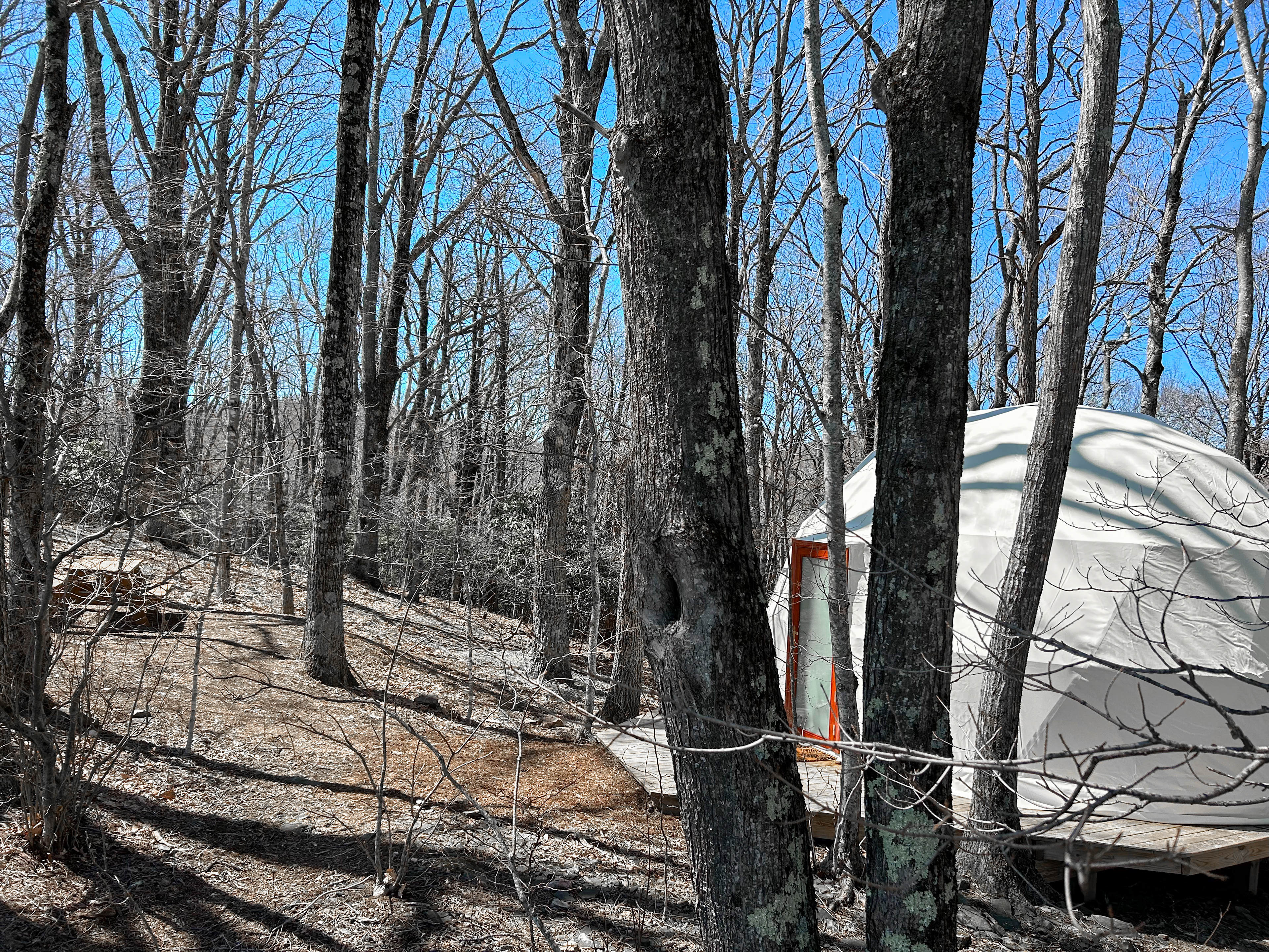 Blue Bear Mountain Camp