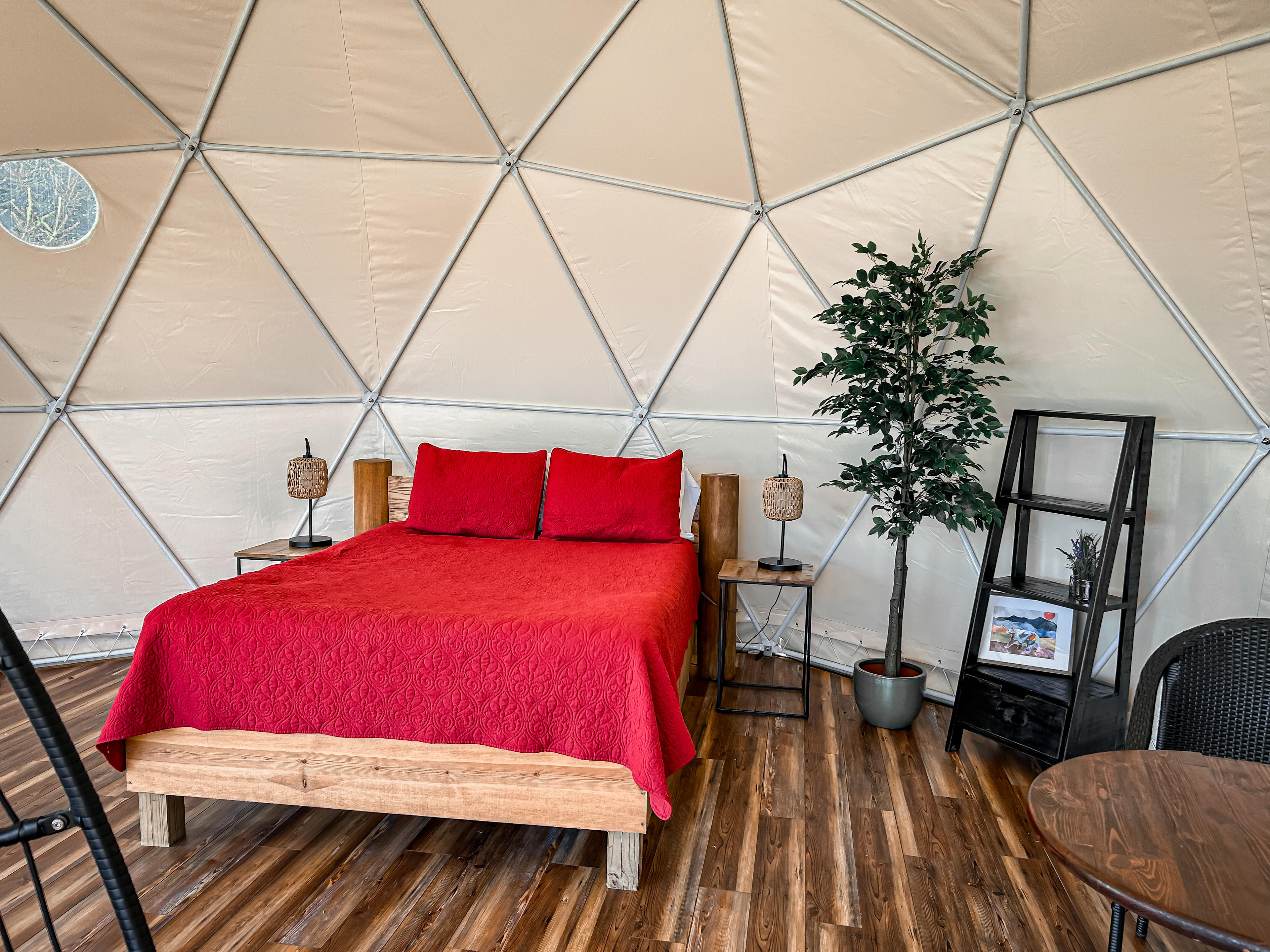 Blue Bear Mountain Camp