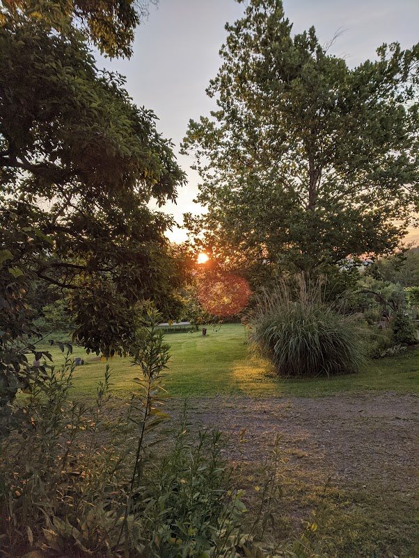 Sunrise Serenity Camp