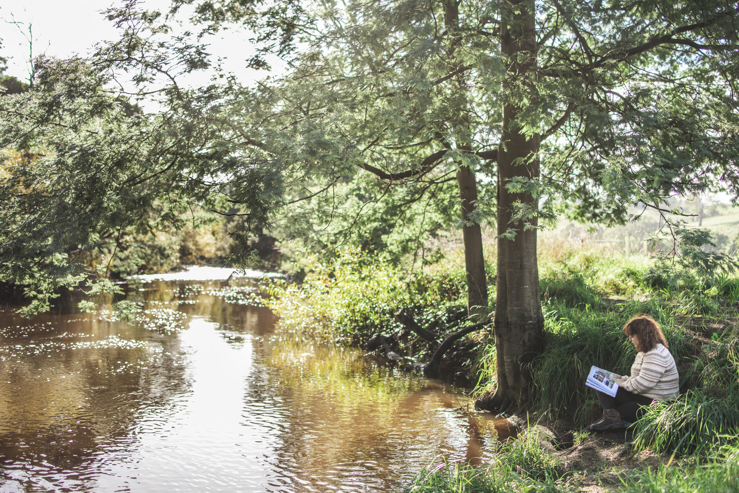 Fairview Farm Ringarooma Tasmania