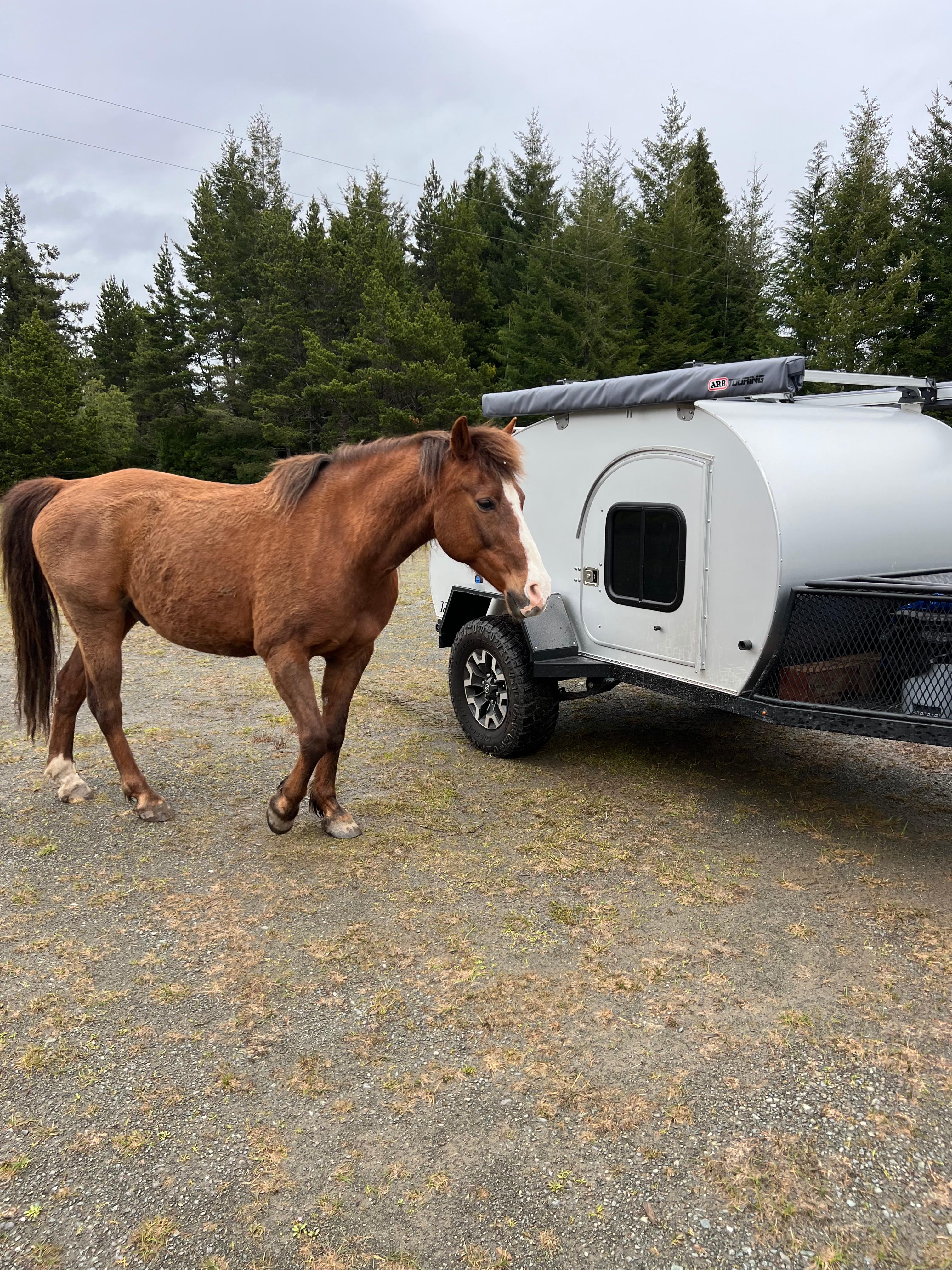 Dew Valley Ranch Nature Retreat