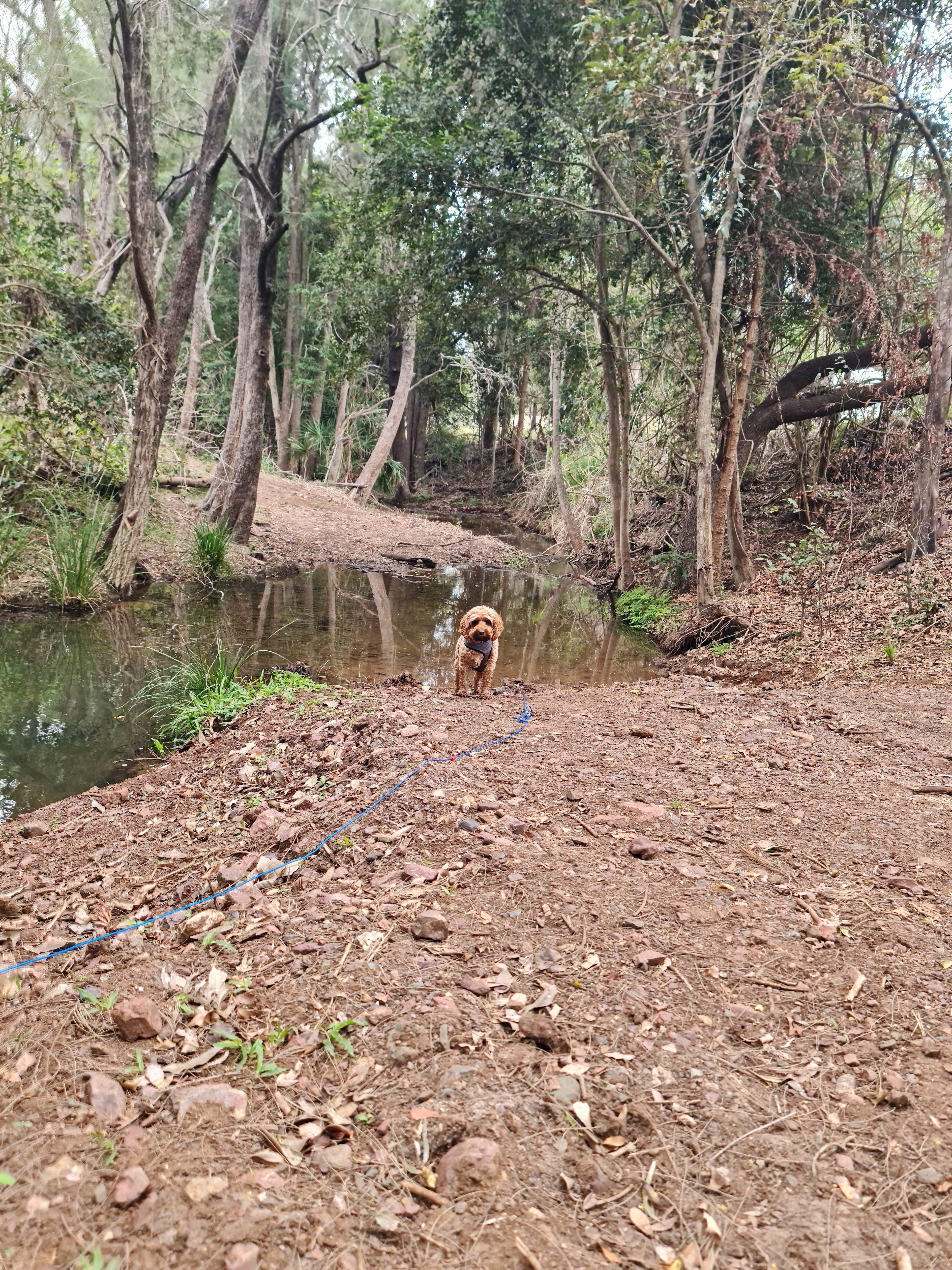 'The Three Mile Creek' Camping