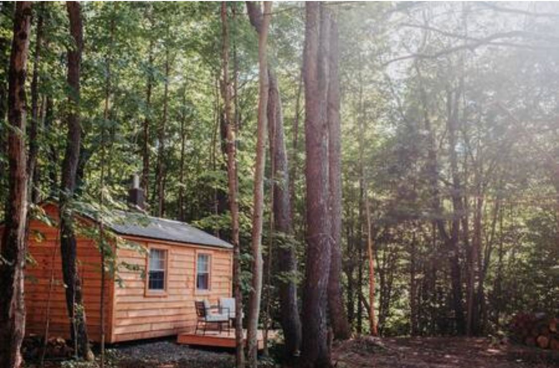 Milk & Honey Homestead