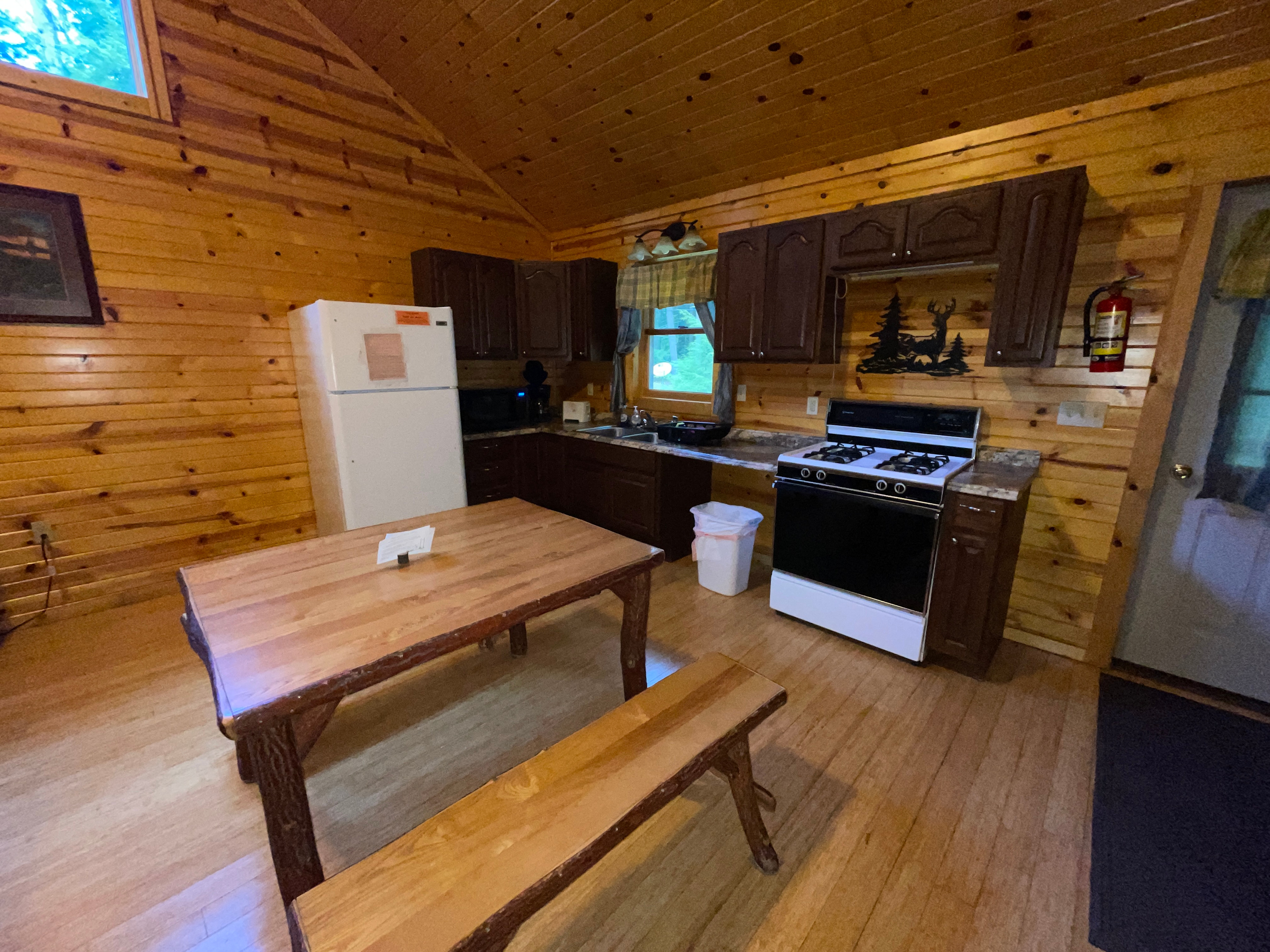 Glamping Cabins in Cook Forest