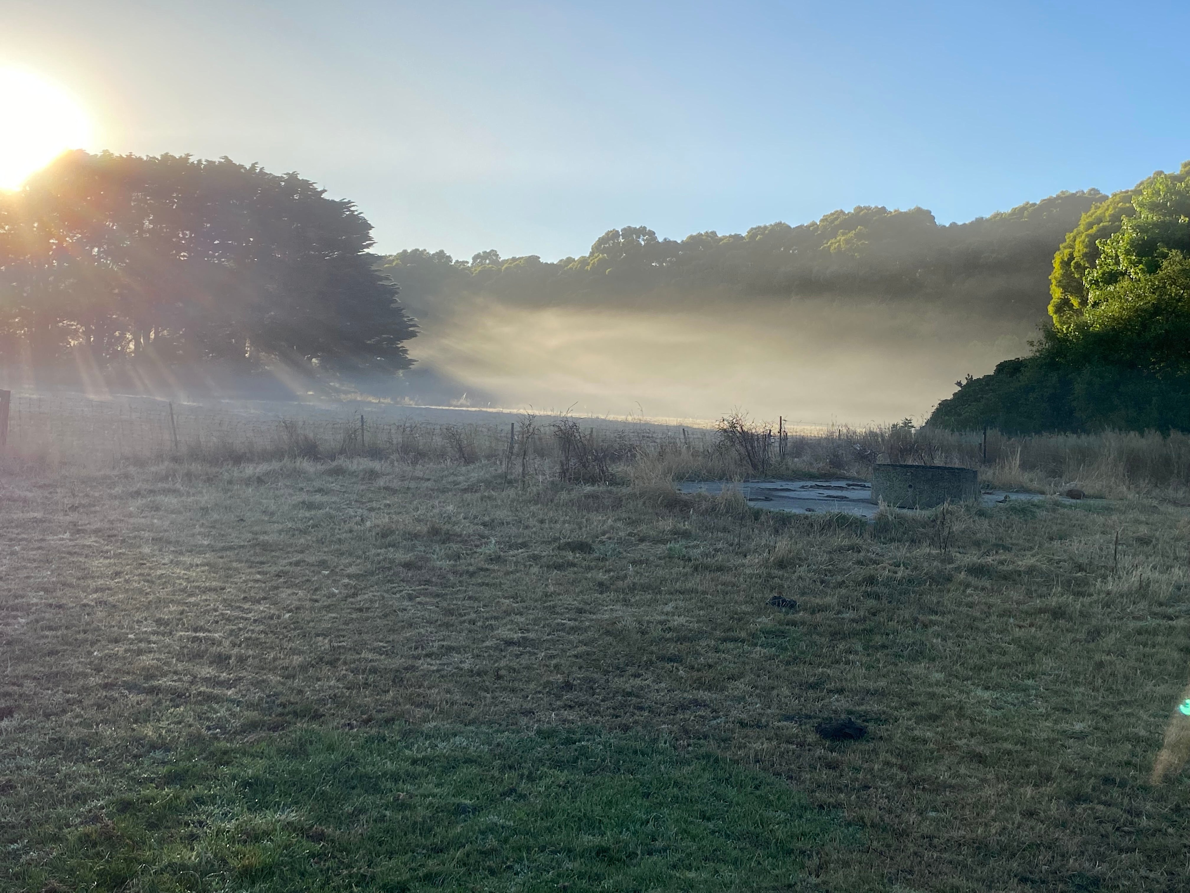 FeatherLeaf Sanctuary