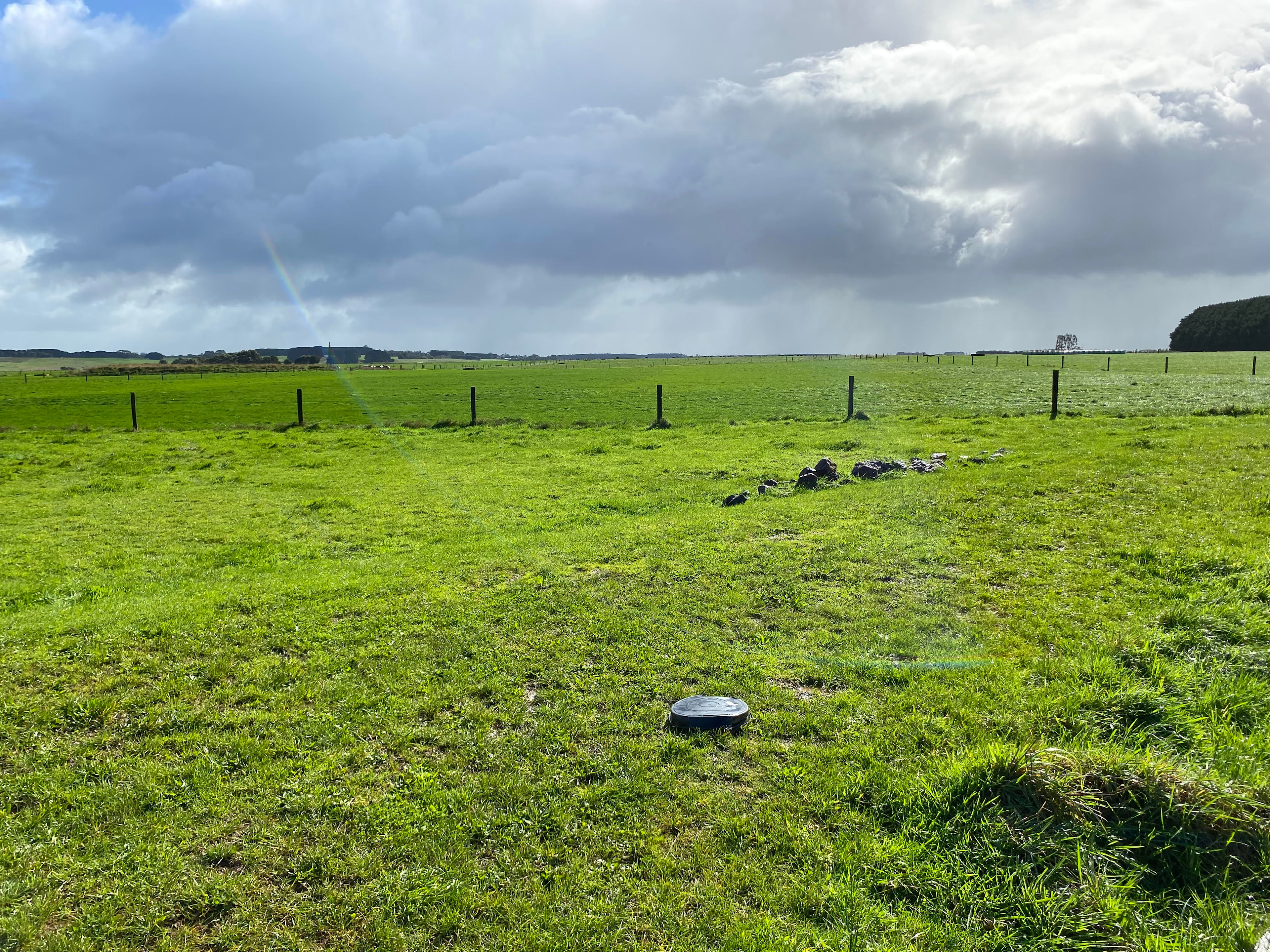 FeatherLeaf Sanctuary