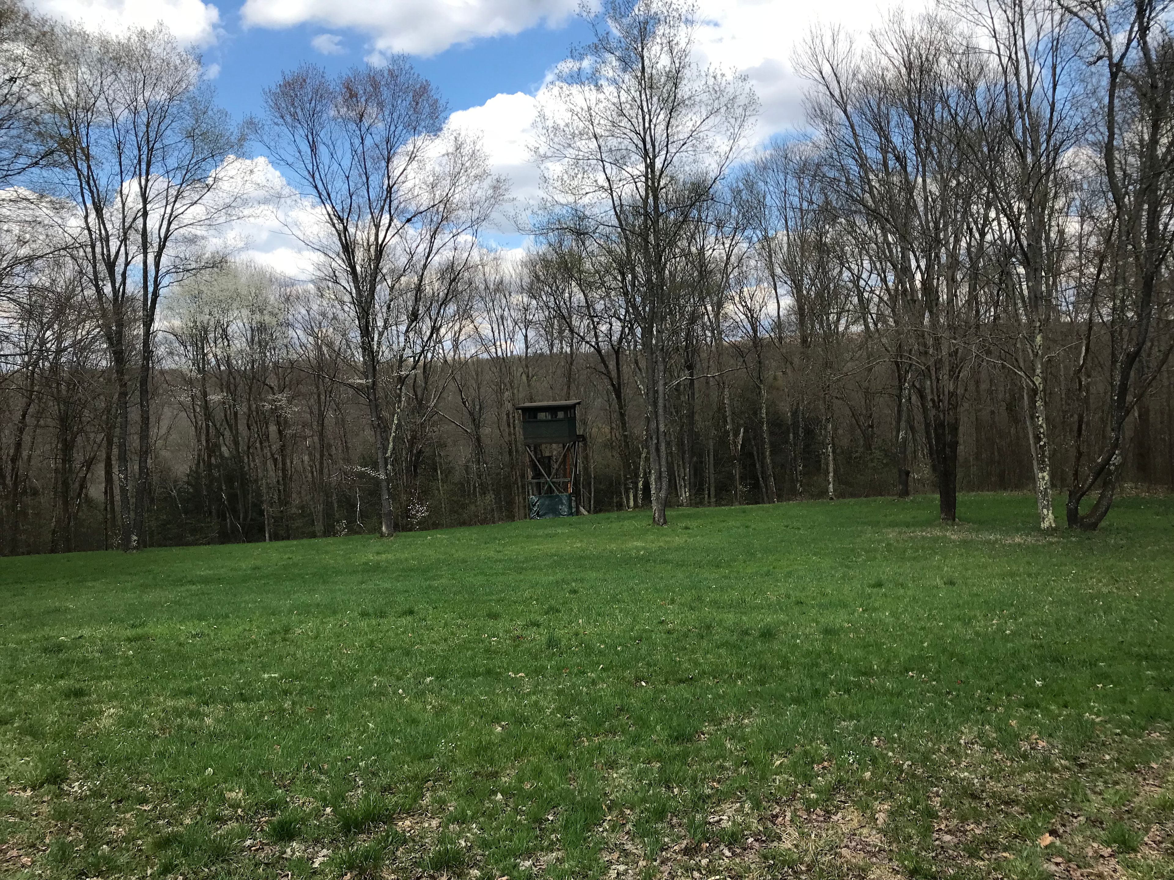 Roller-Coaster Road Ranch
